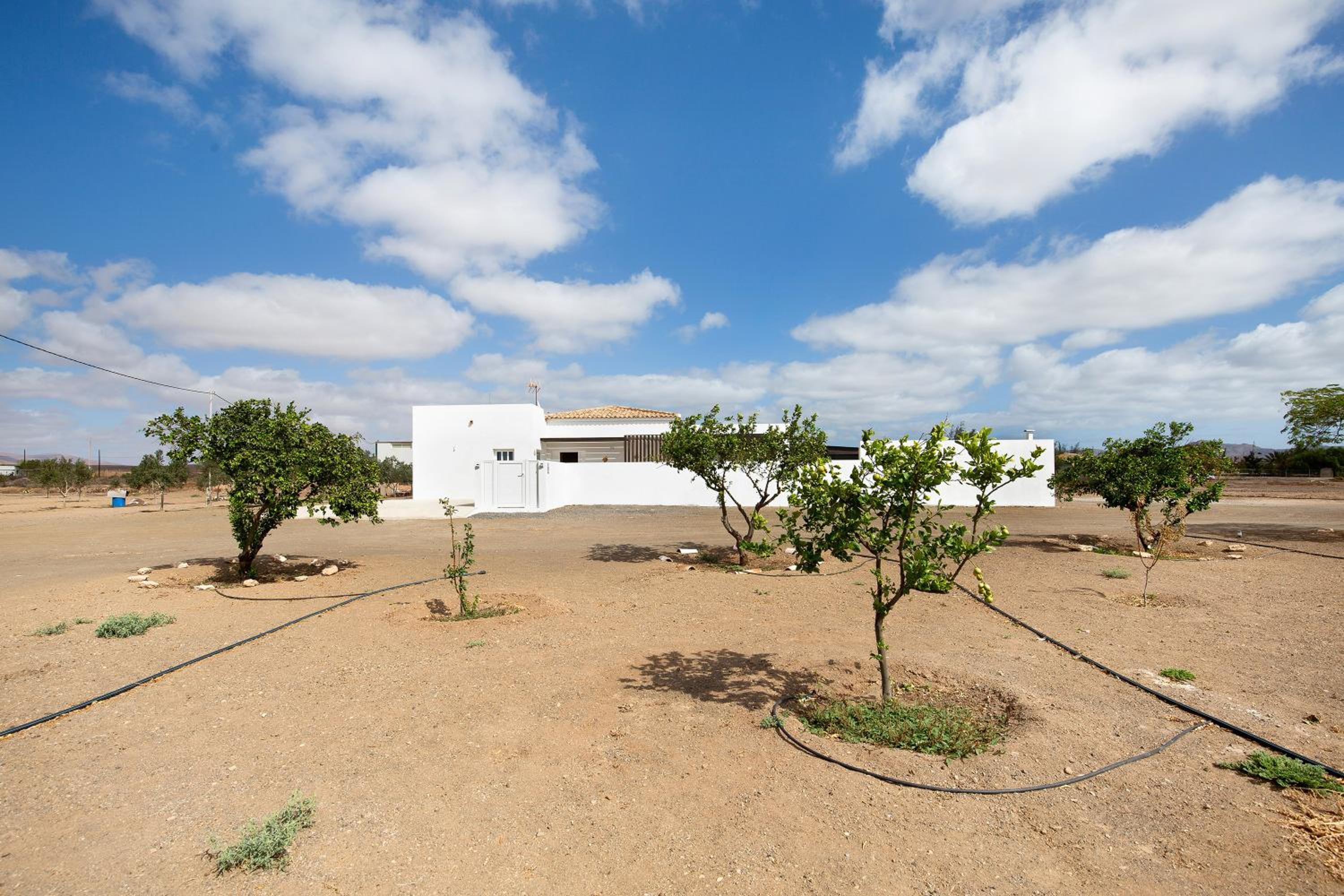 Mayantigo