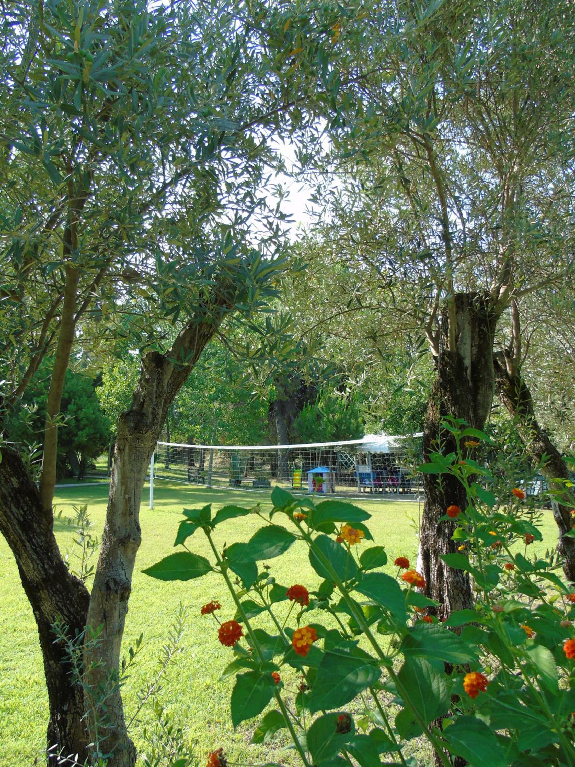 Case e Appartamenti Vacanze a Bivona - sul mare