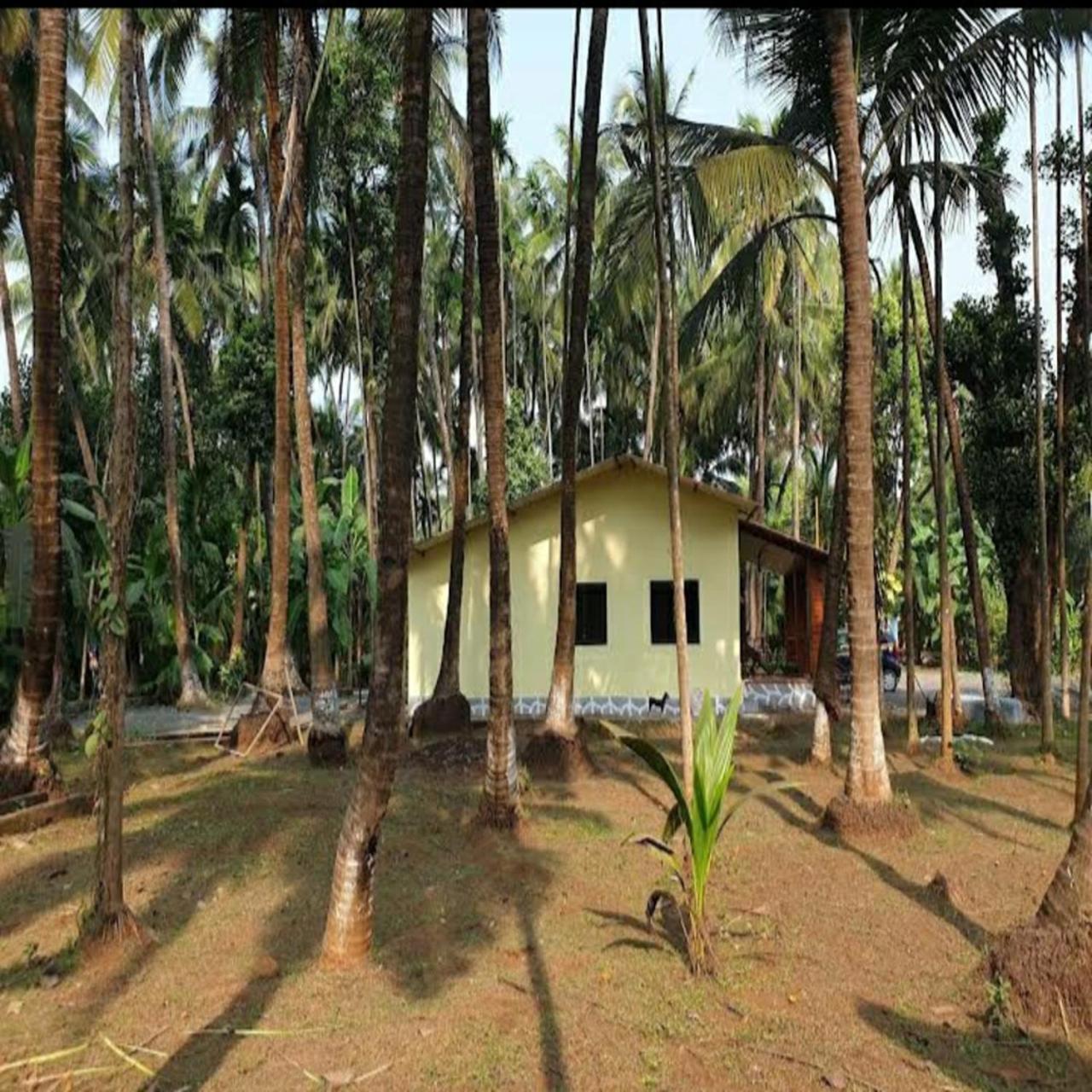 Savita Farmhouse