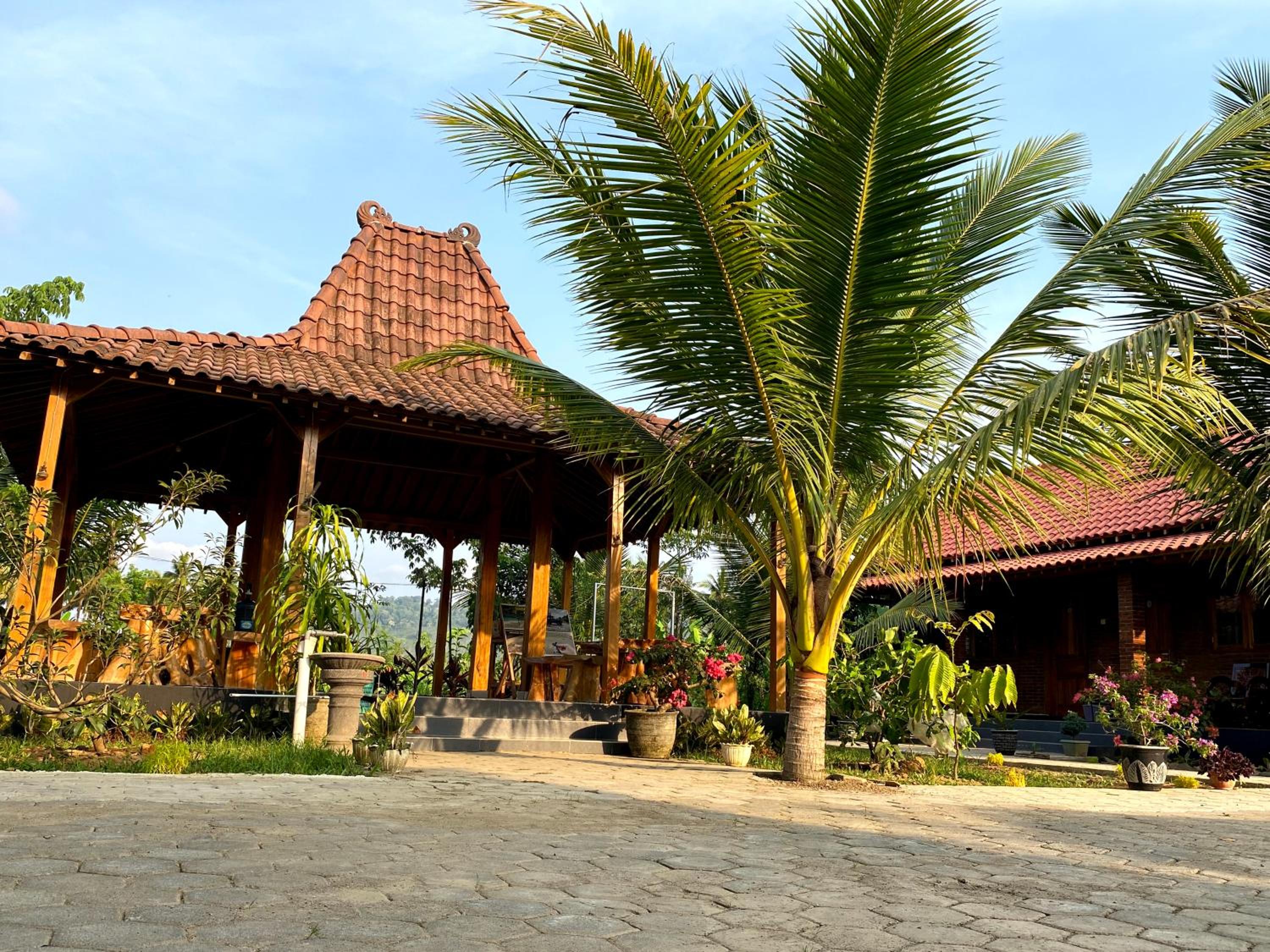 Adventure Turtle Homestay Meru Betiri