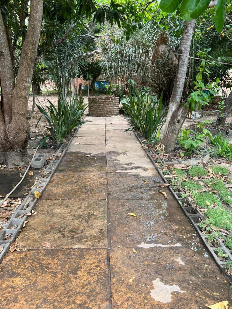 Sitio do Calango