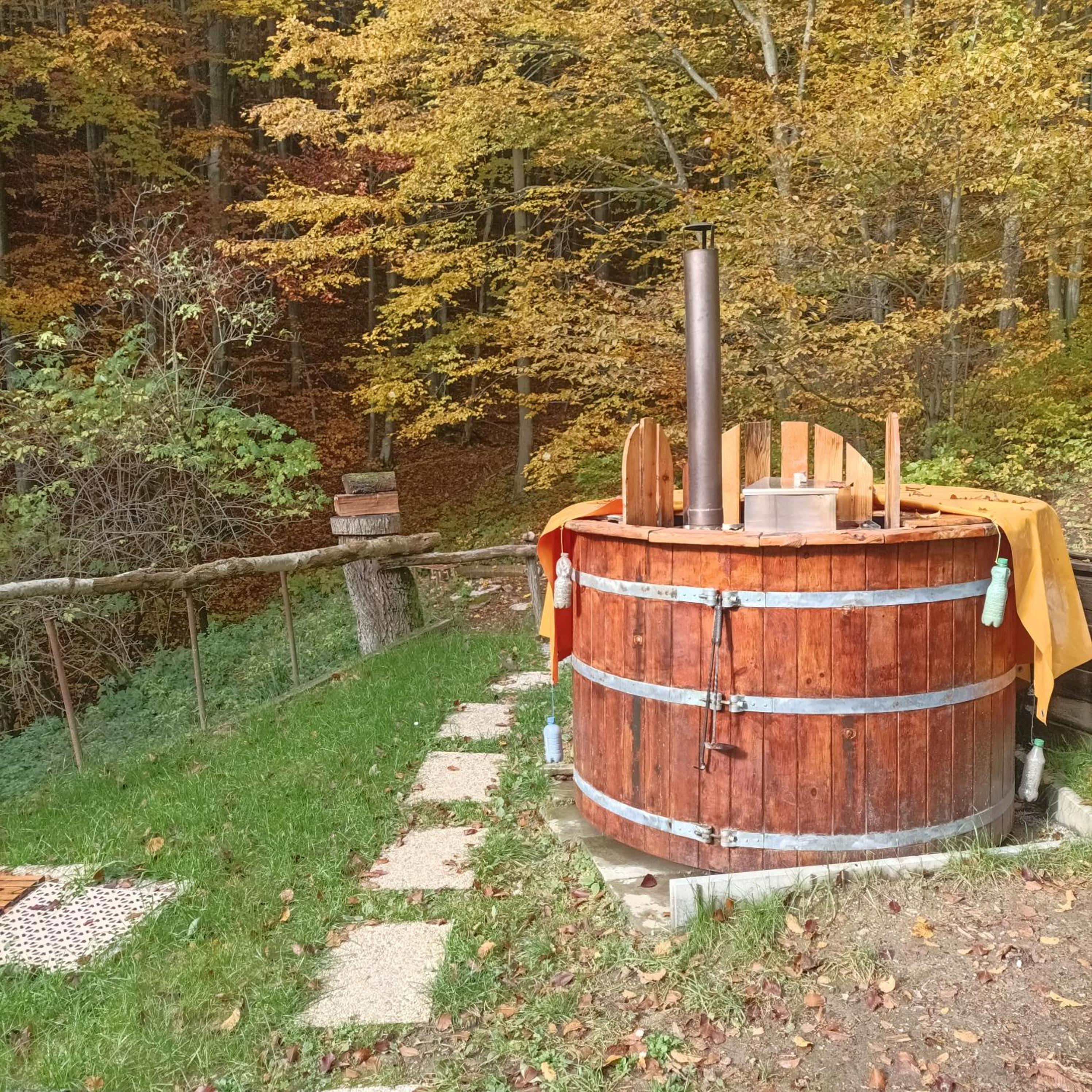 Photo 45