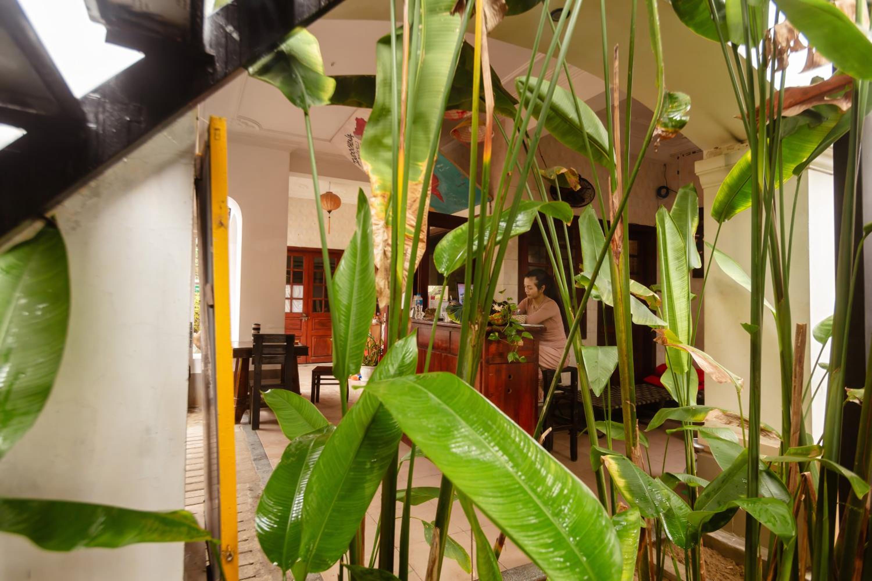 Serendipity Experience Hoi An Hostel