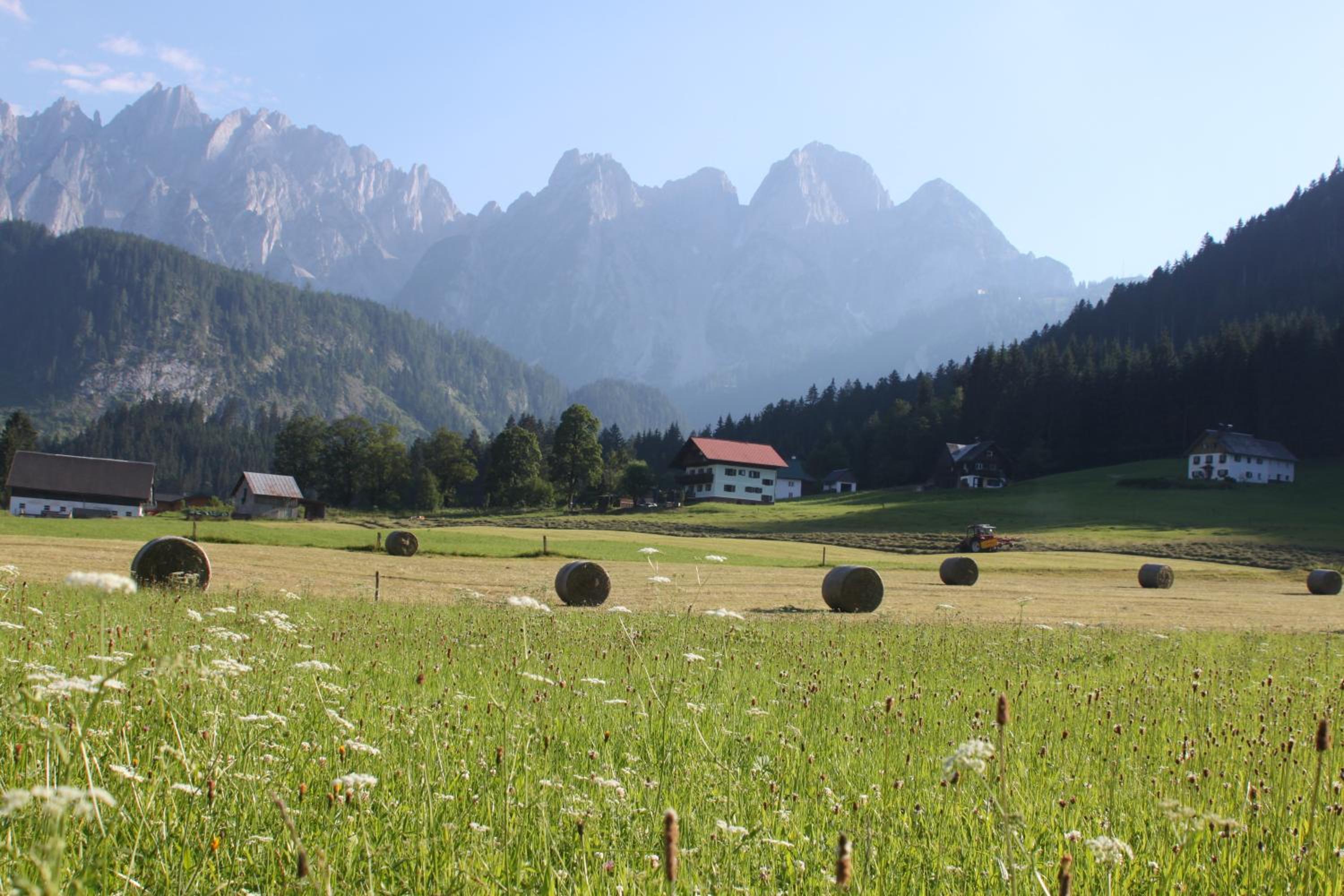 Mühlradl Apartments Gosau