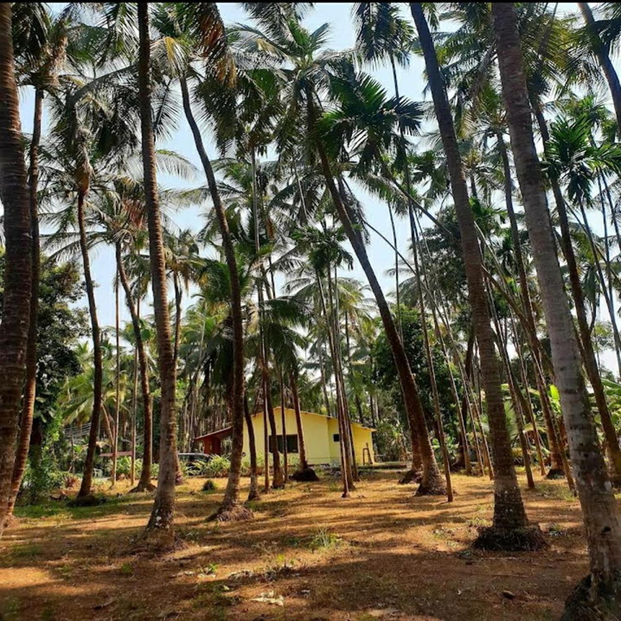 Savita Farmhouse