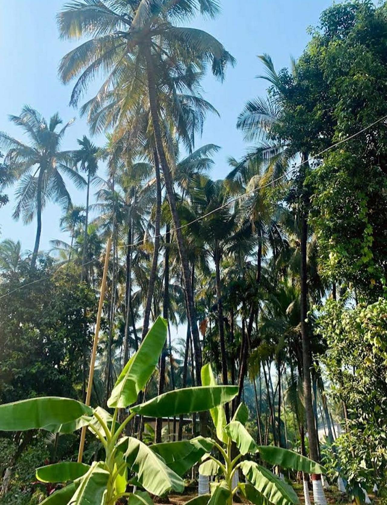 Savita Farmhouse