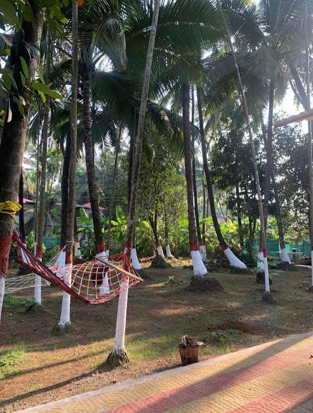 Savita Farmhouse