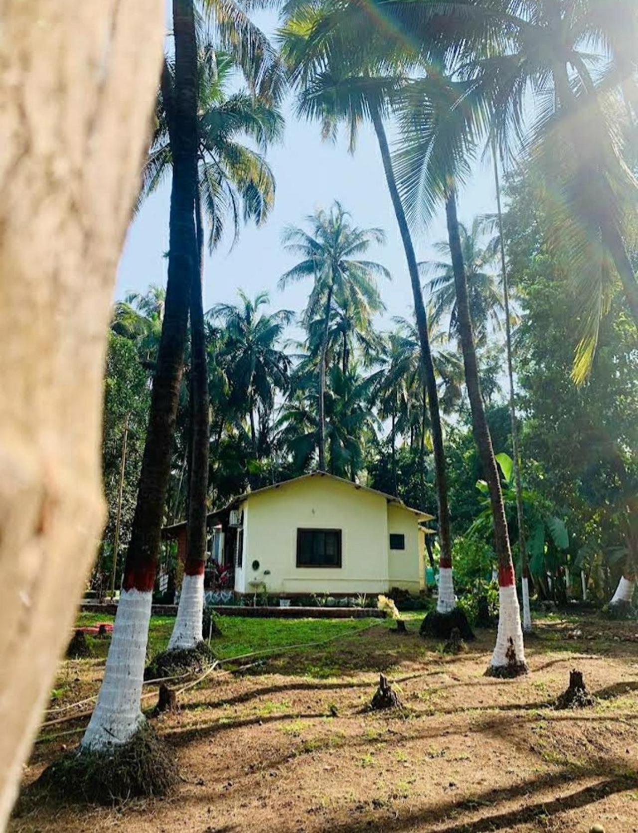 Savita Farmhouse