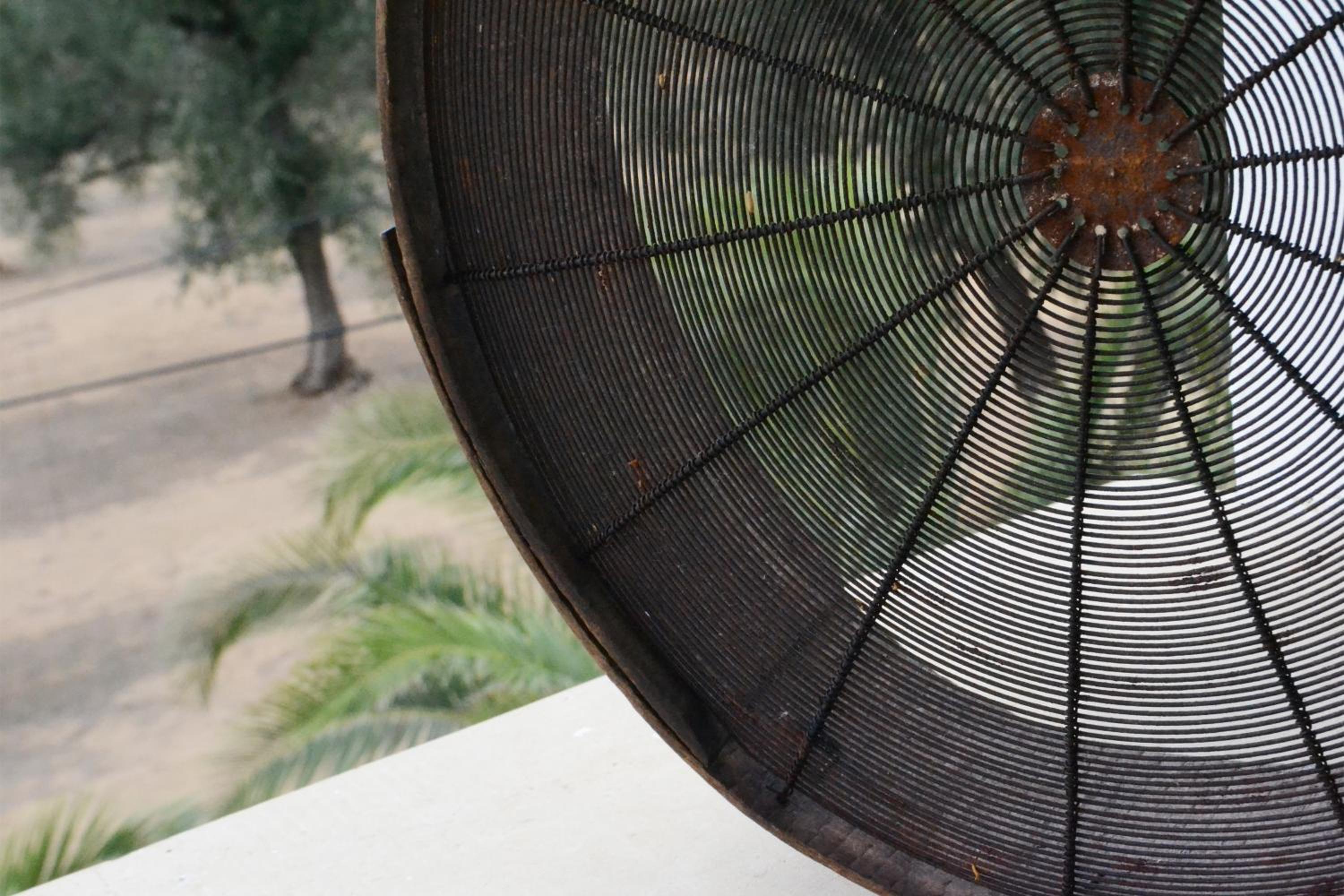 Photo 43