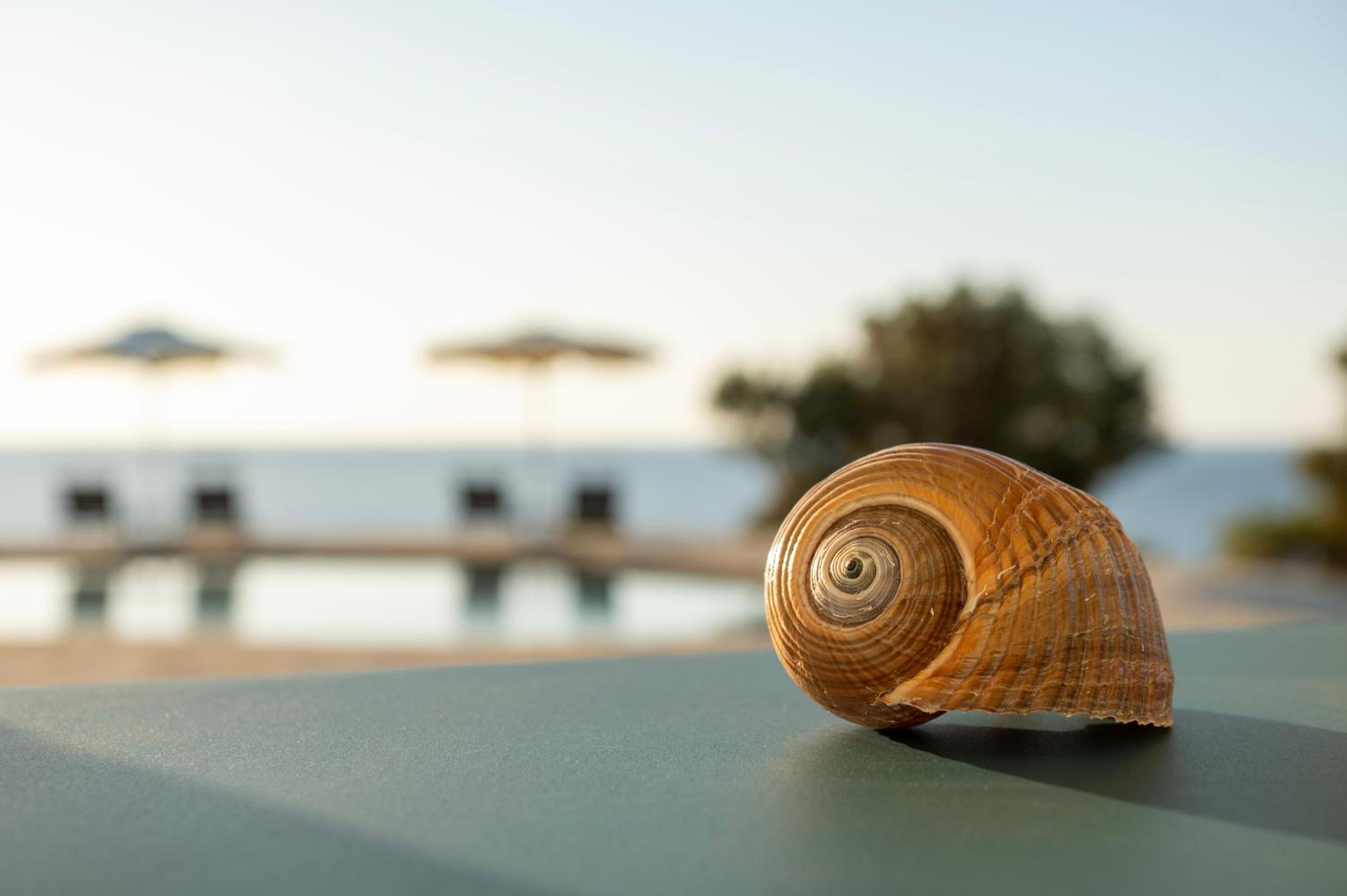 Borgo Thassos