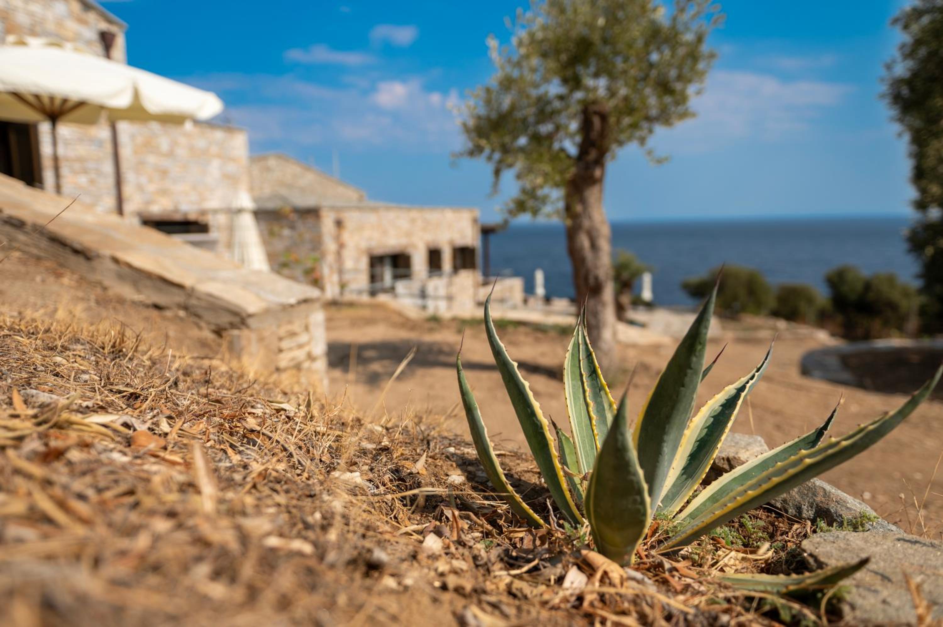 Borgo Thassos