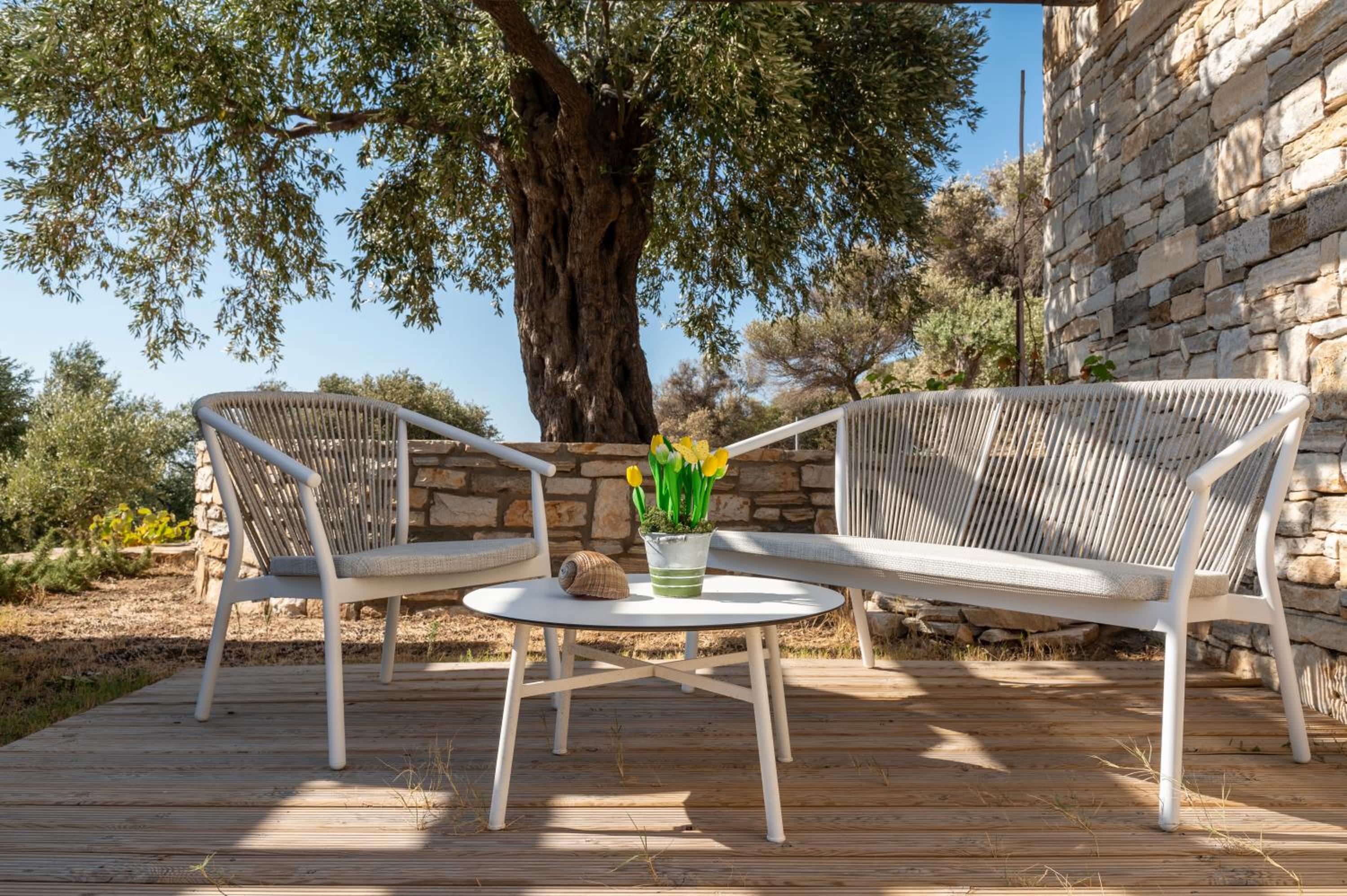 Borgo Thassos