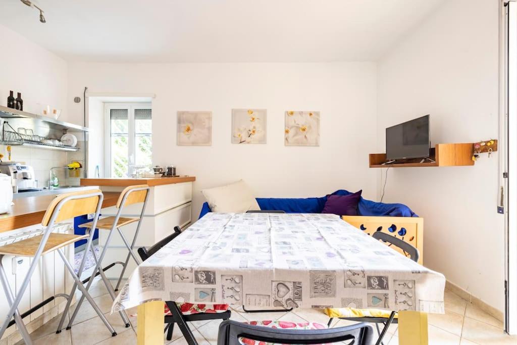 Massy & Alex house intero appartamento