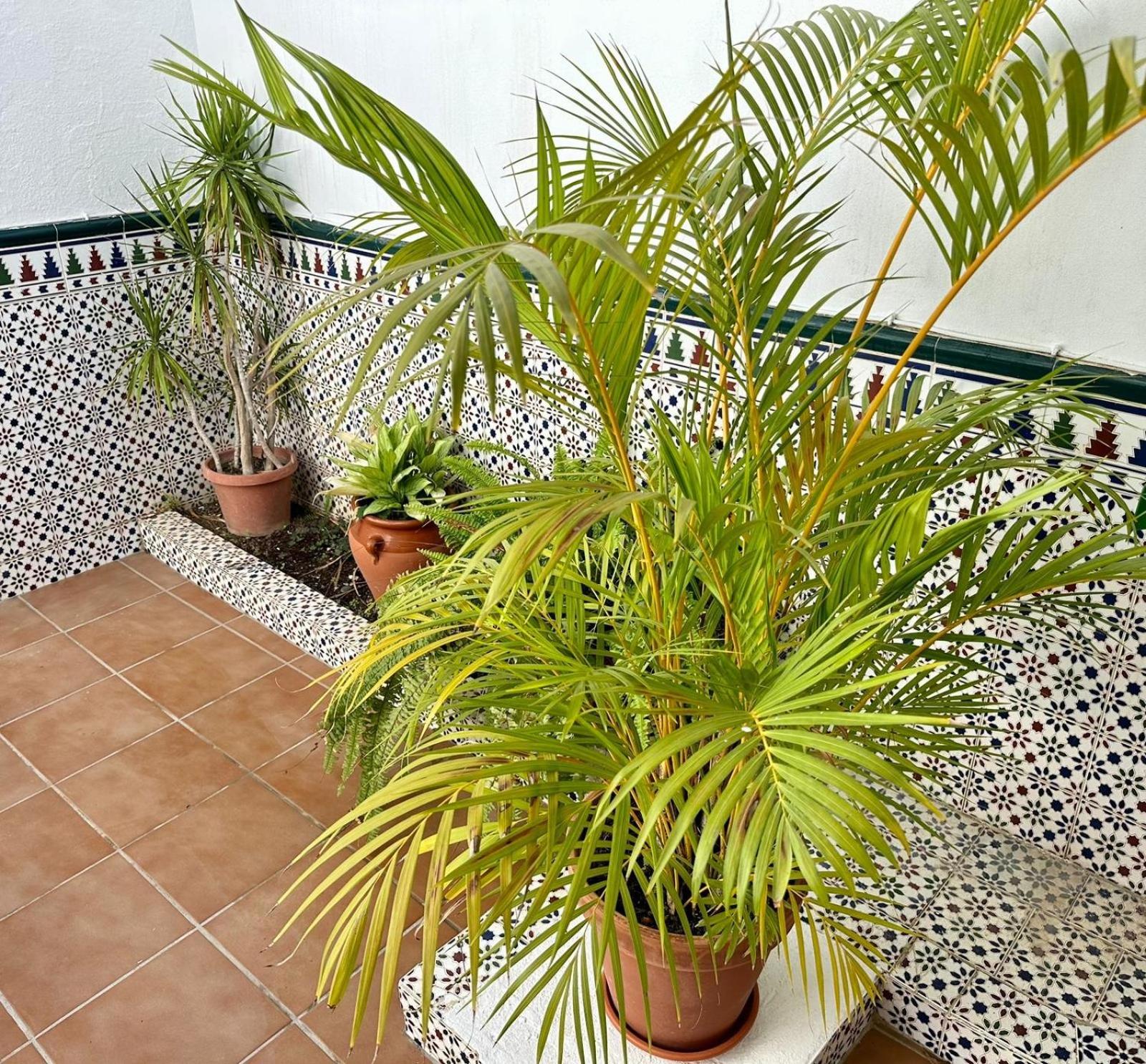 Fuengirola Casa Centro Mar y Sol