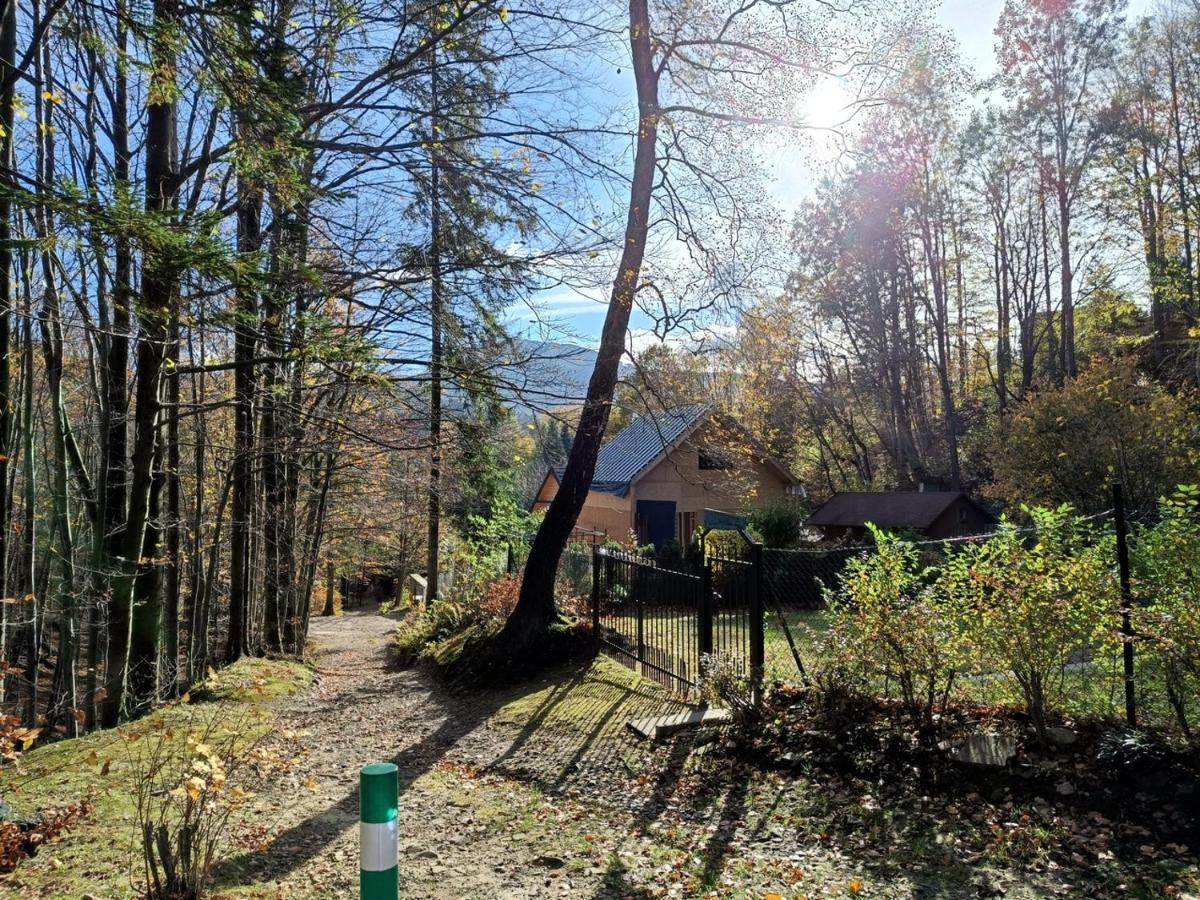 Modry Domek Szczyrk view 2