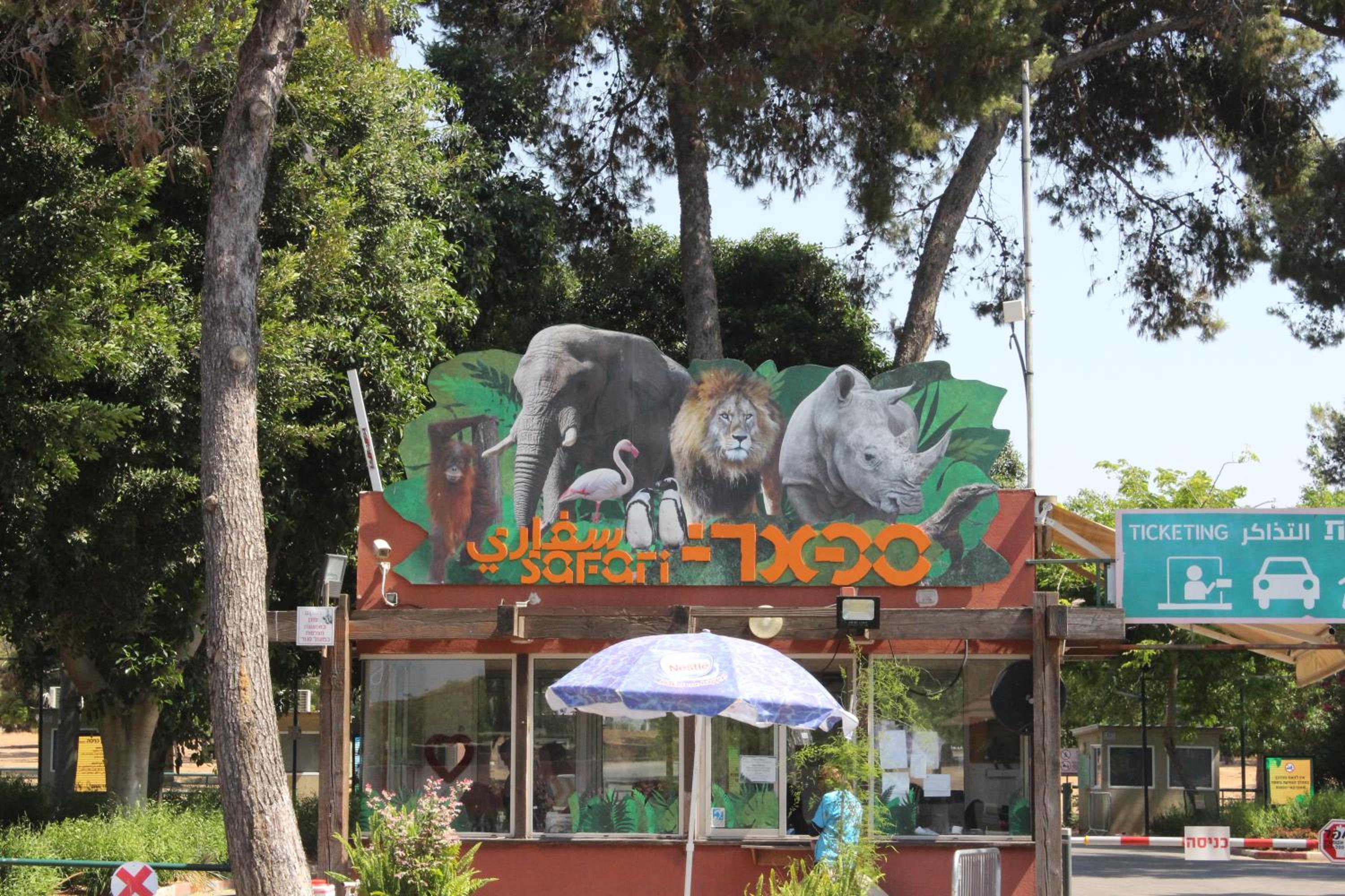 Photo 44
