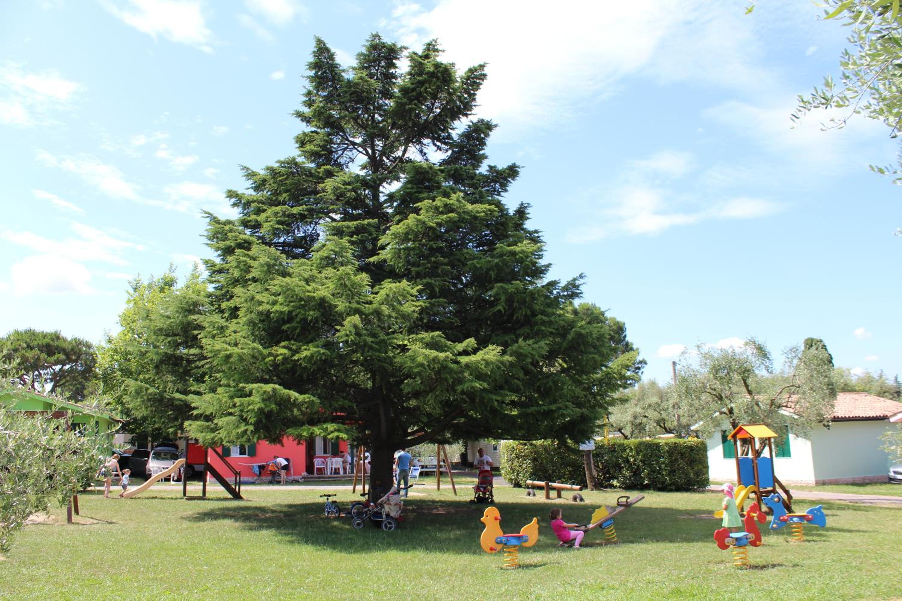 Camping Cisano - San Vito