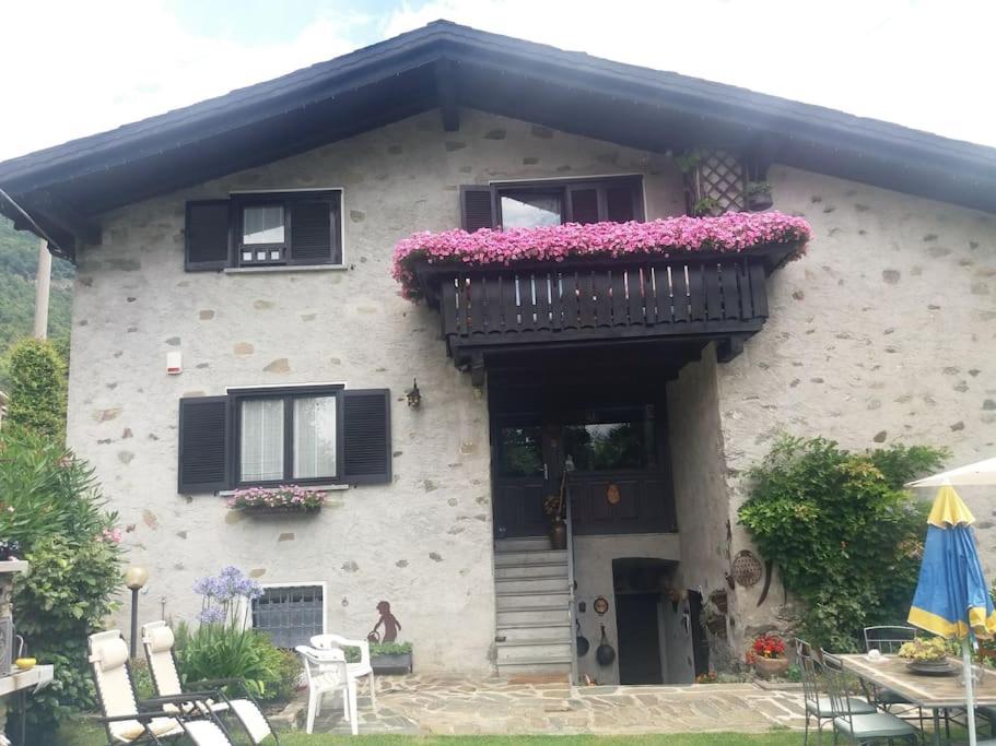 Casa Colori photo 2
