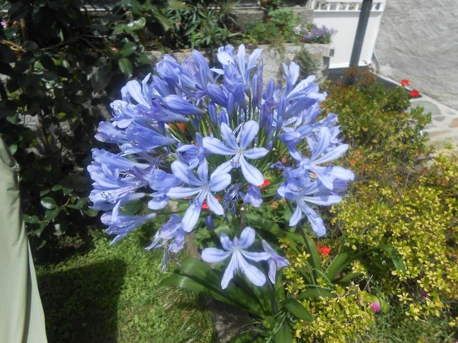 Casa Colori