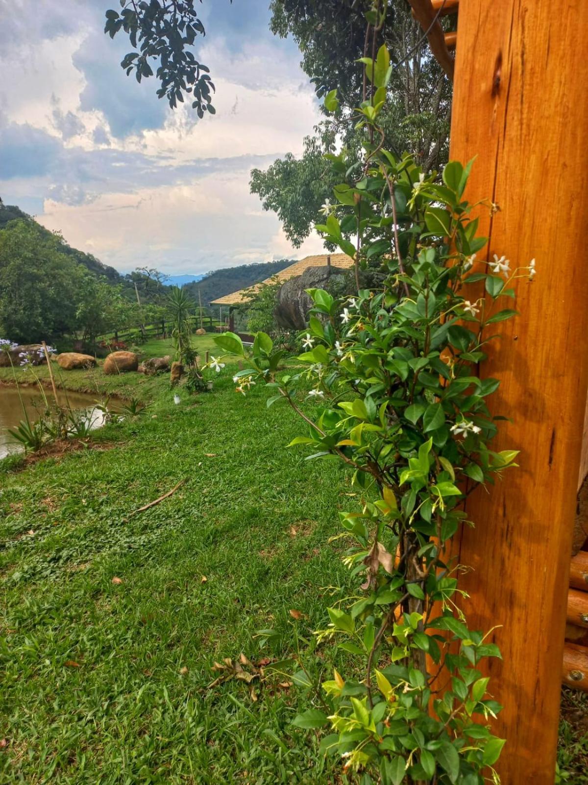 Chalé Araucária- Vale das Pedras MG