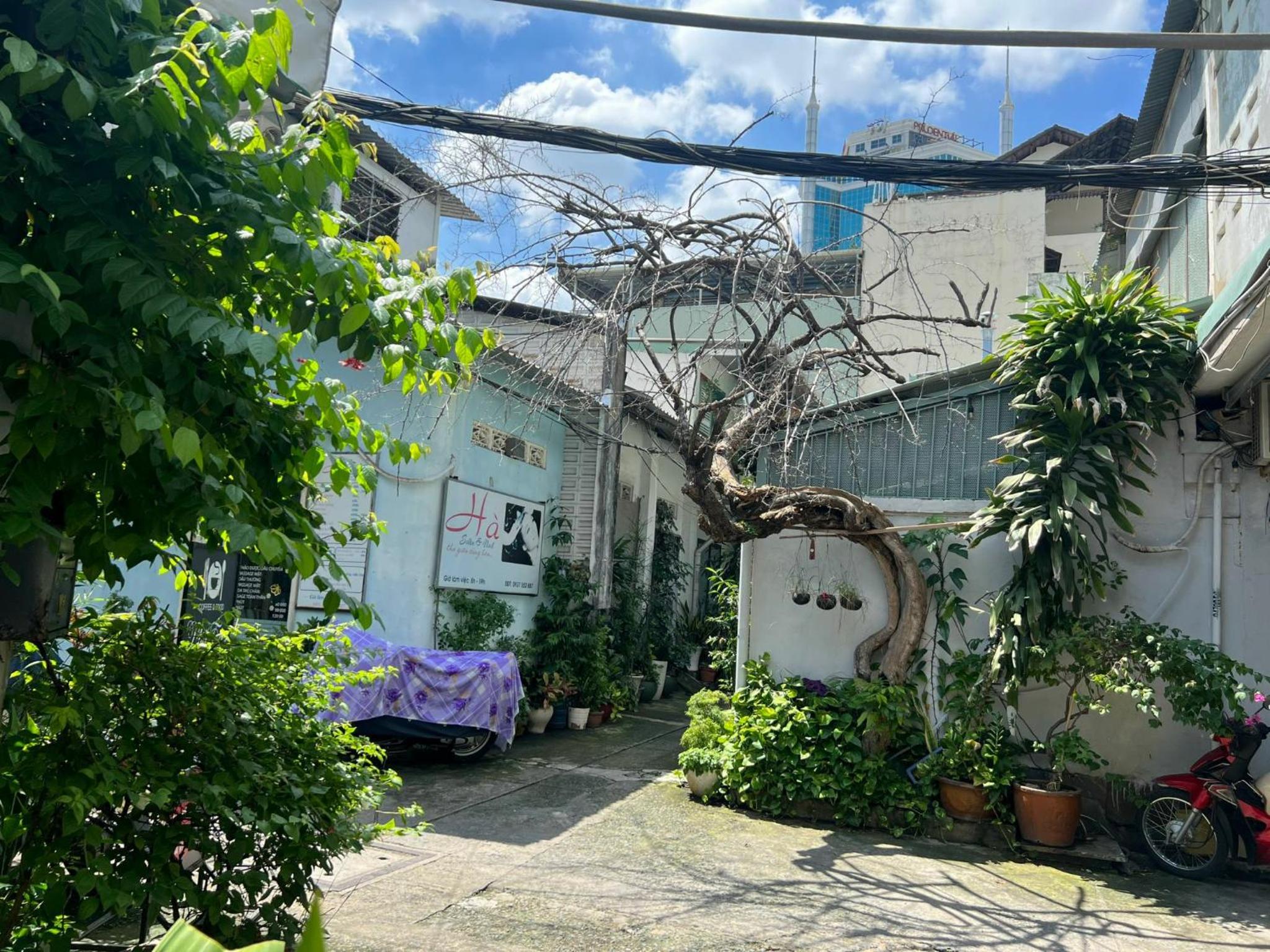 Moon house- Downtown Saigon D1- 3 Bedrooms