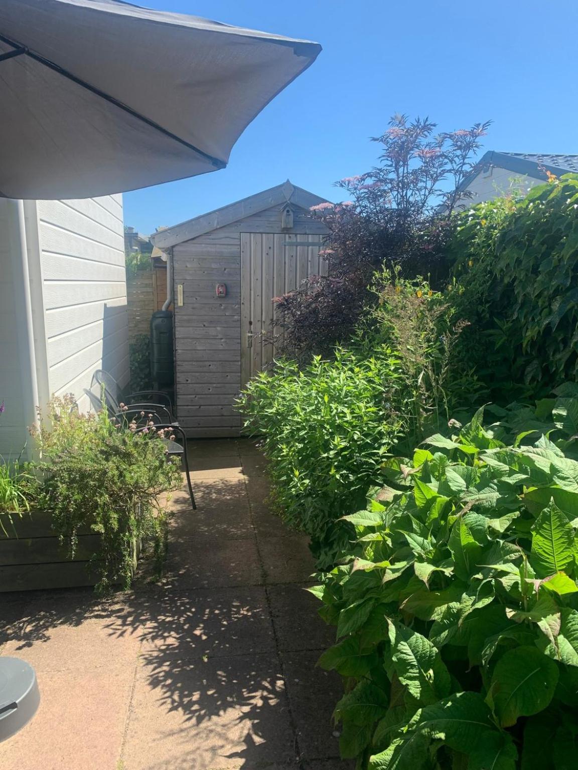 Photo 17