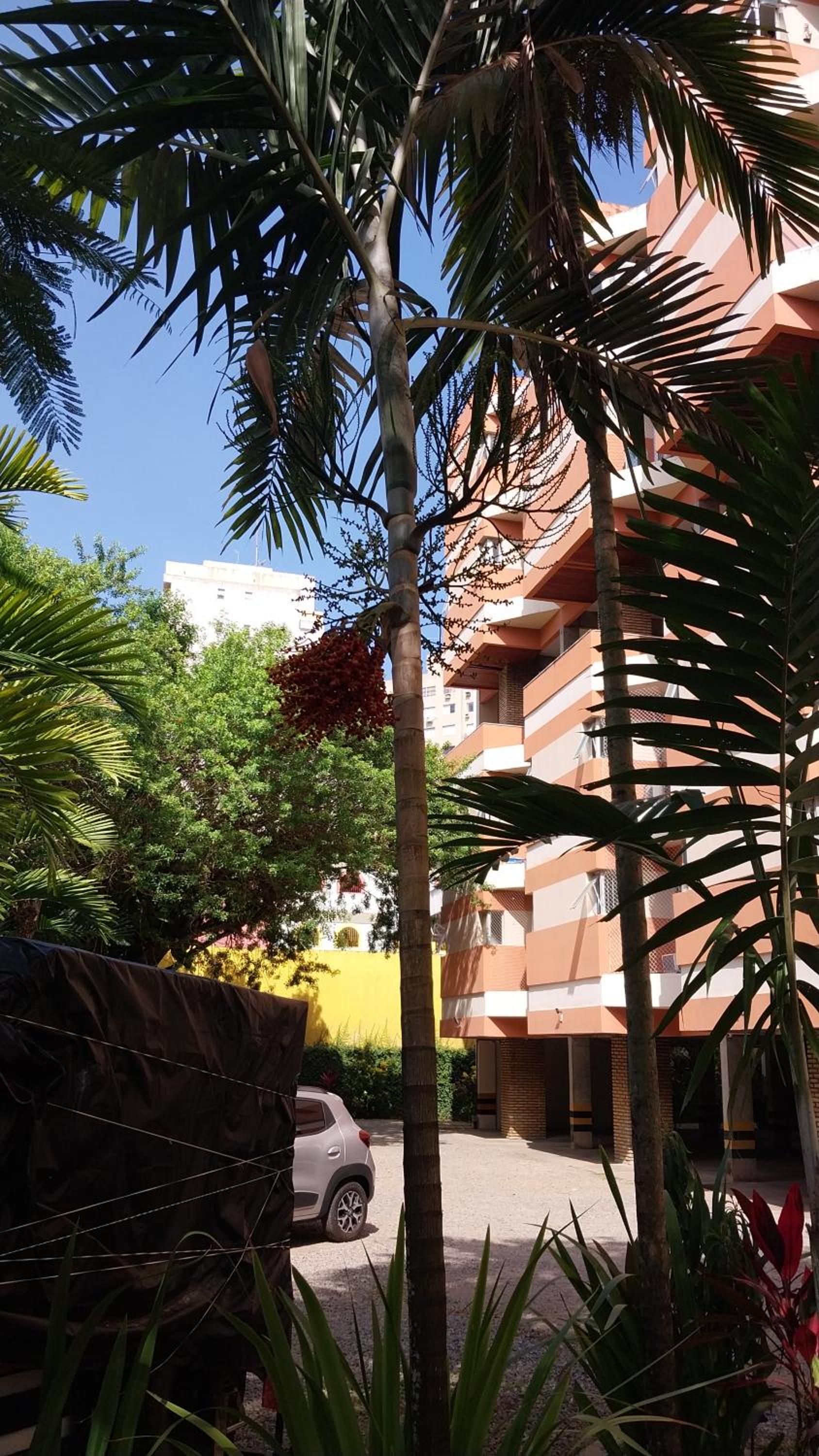 APARTAMENTO ITAIGARA