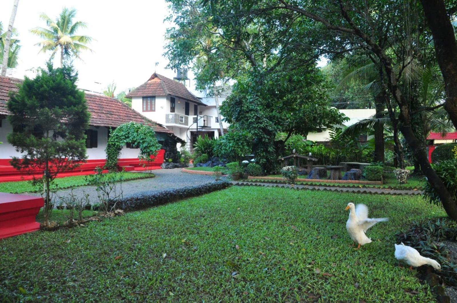 Photo 6