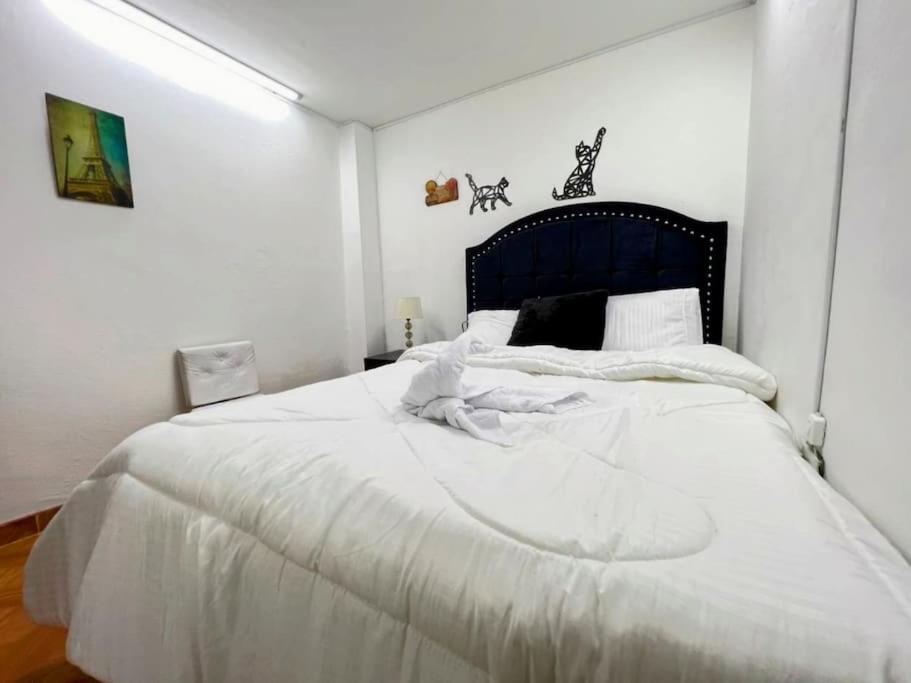 Hermoso apartamento acogedor-cocina wi-fi 500MB