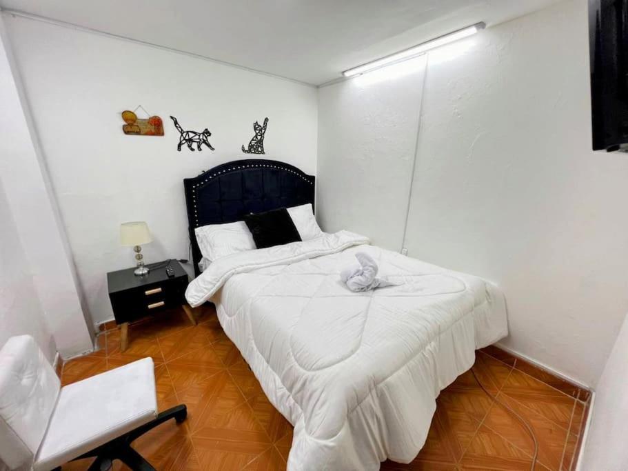 Hermoso apartamento acogedor-cocina wi-fi 500MB
