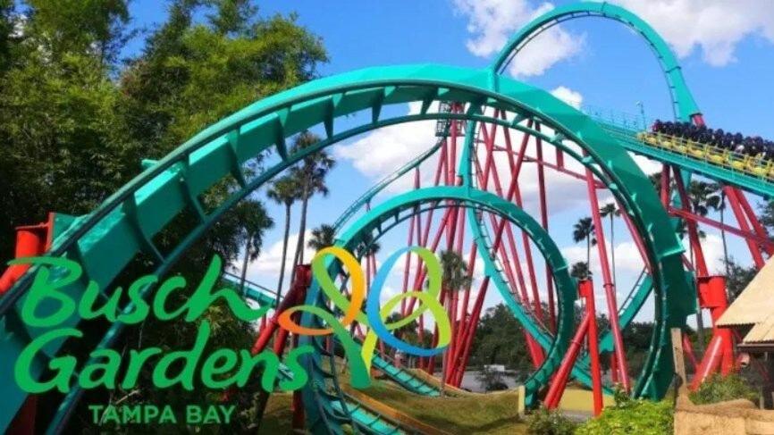 Urban Paradise: Stylish Getaway near Buschgardens view 4