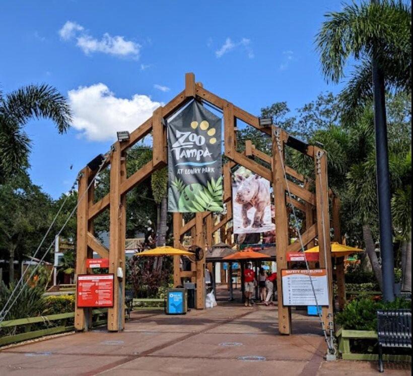 Urban Paradise: Stylish Getaway near Buschgardens view 3