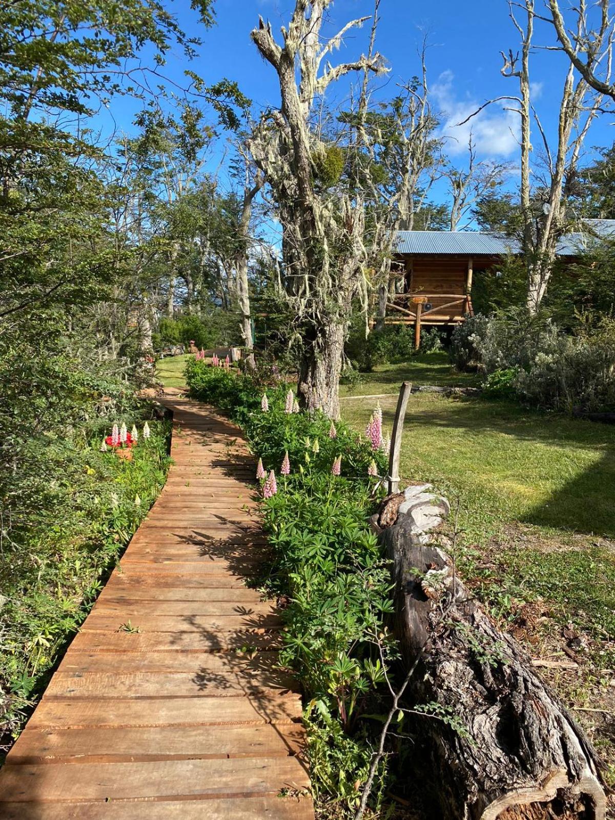 CABAÑAS LOS ARÁNDANOS