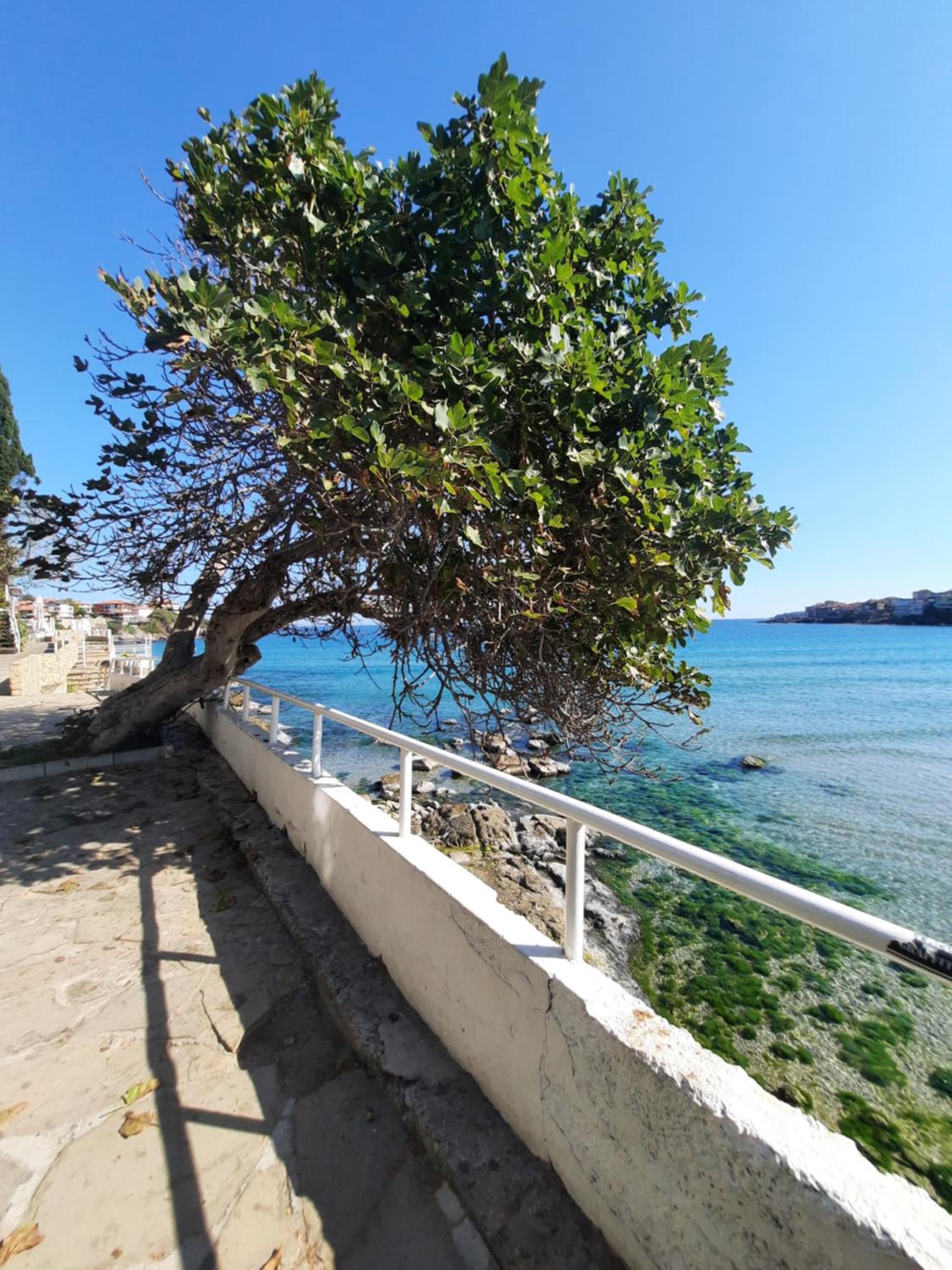 Cozopol Budjaka