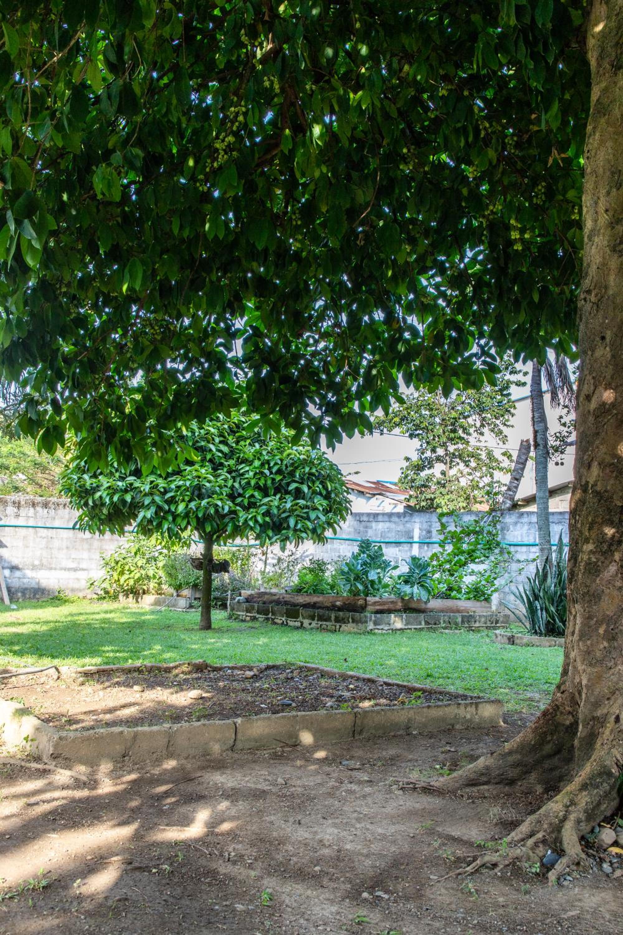 Cabañas Los Almendros view 3