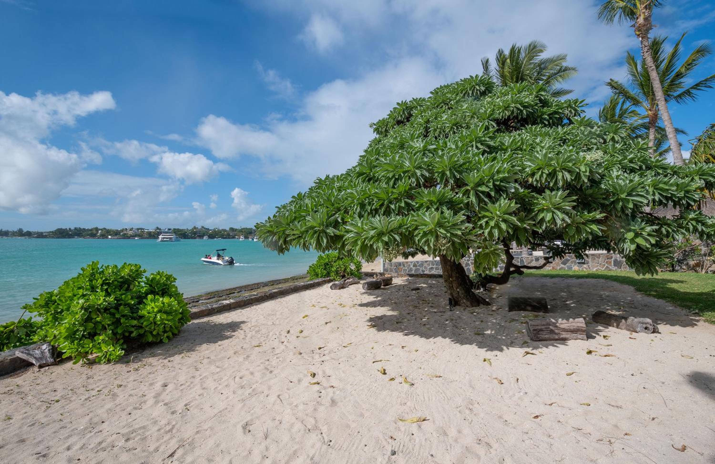 VILLA PIEDS DANS L'EAU - GRAND BAIE photo 4