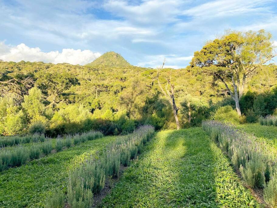 Villa Siena conforto nas alturas Casa com 2 suítes 2 banheiras de imersão vista maravilhosa a 1300m de altitude