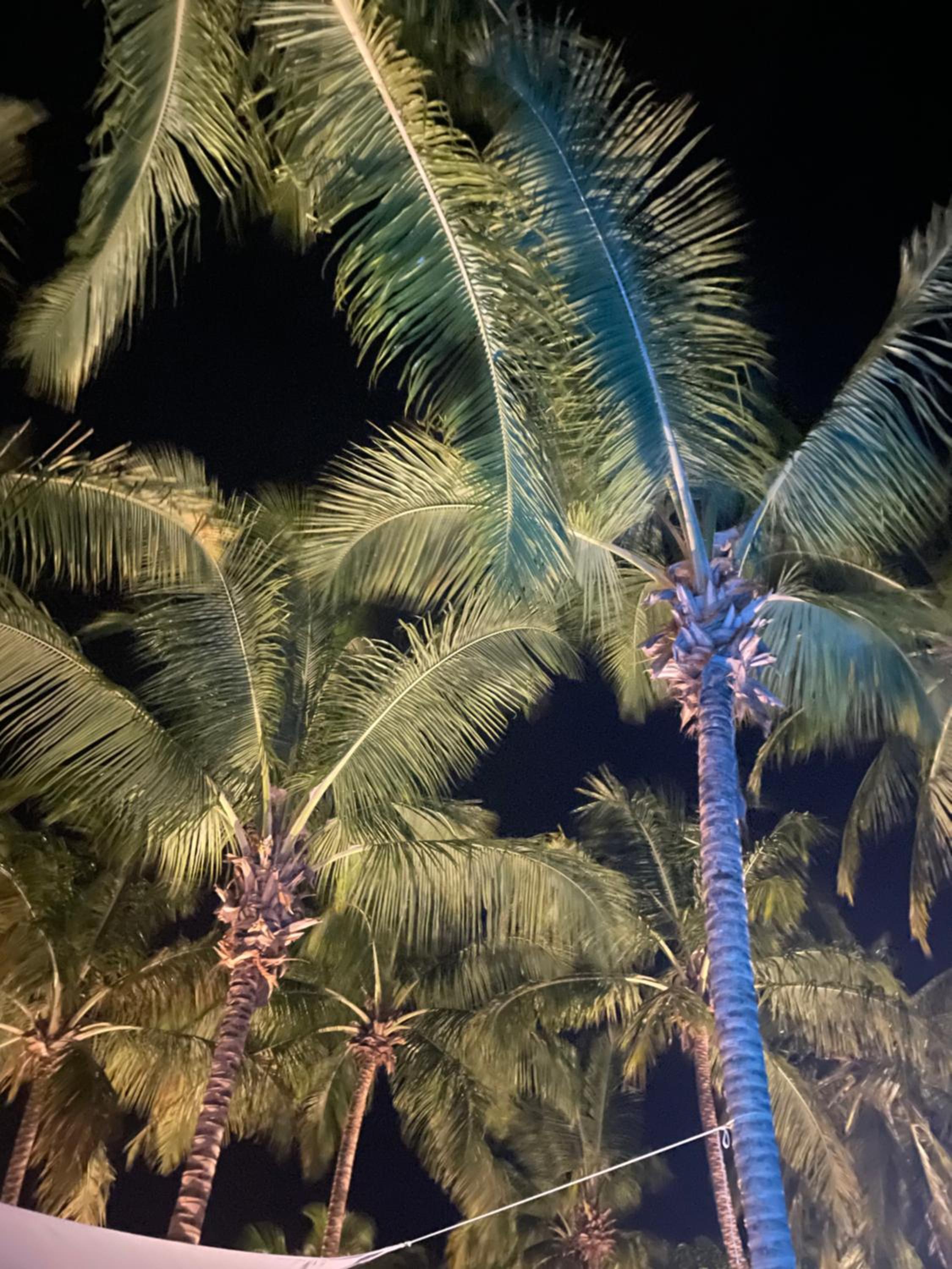 Vila dos Cocos - Praia de Moitas