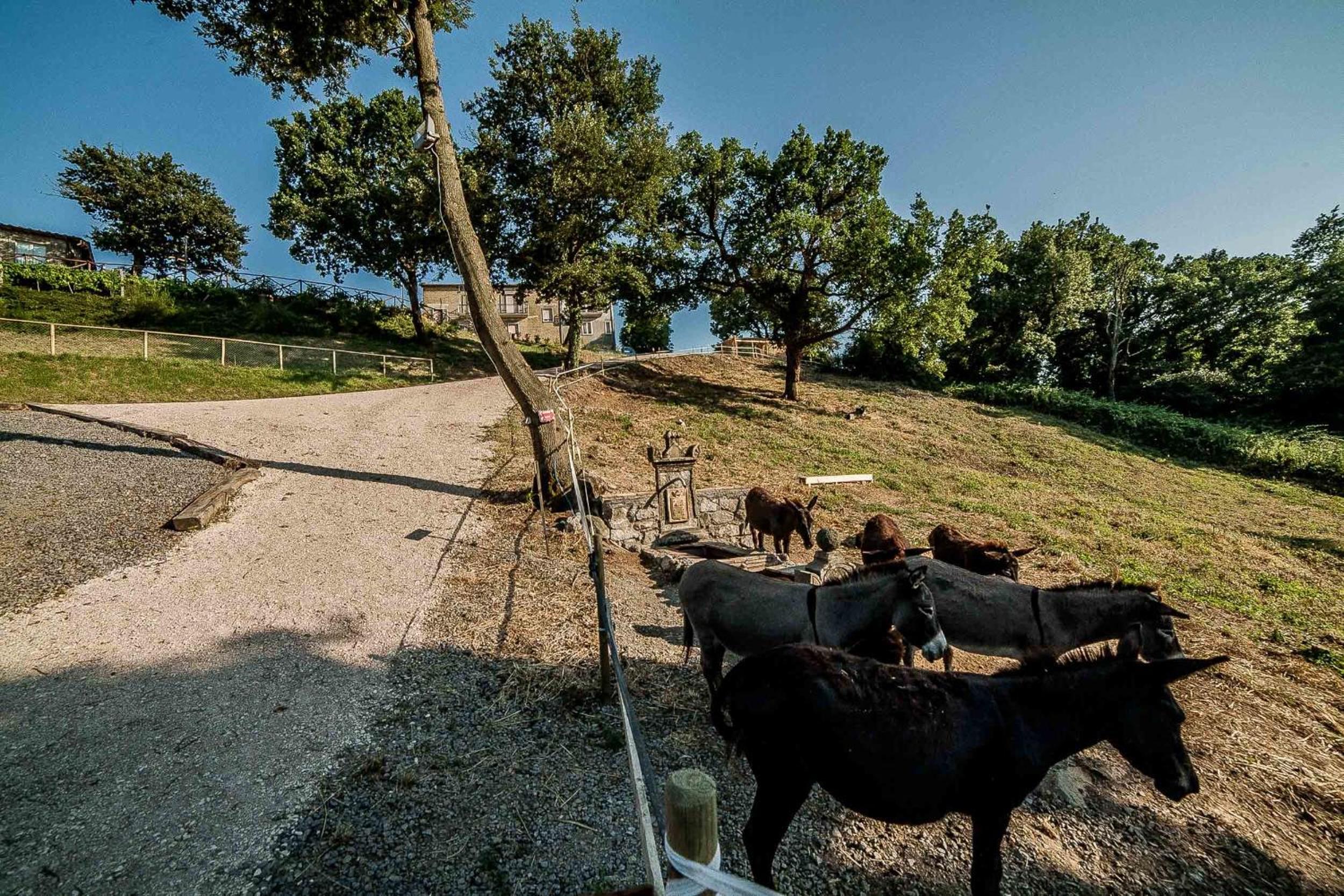 Agriturismo Specchio Del Lago