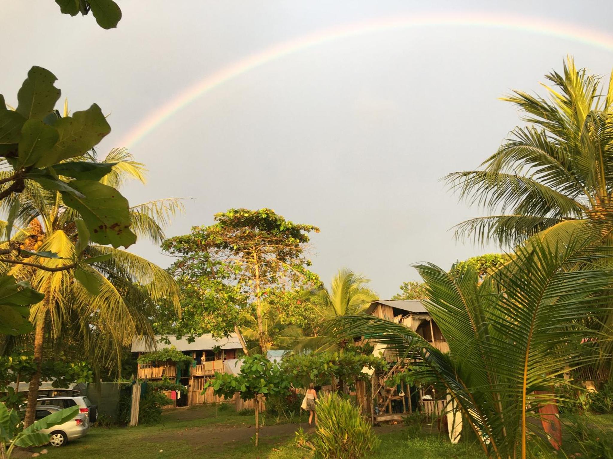 Miguel Surf Camp