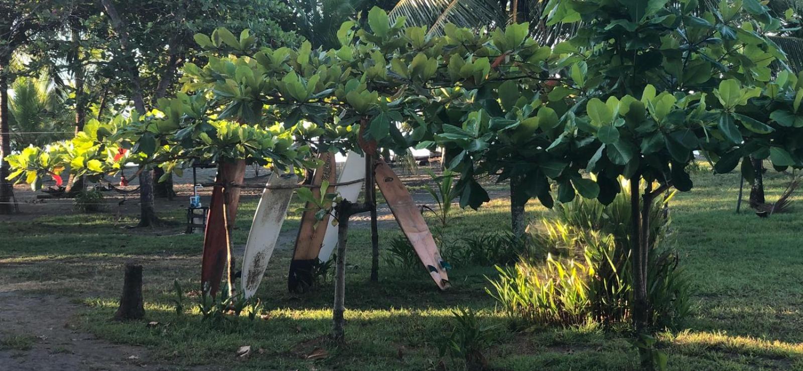 Miguel Surf Camp
