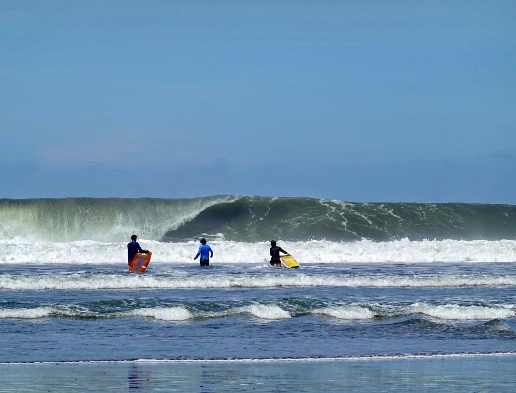 Miguel Surf Camp