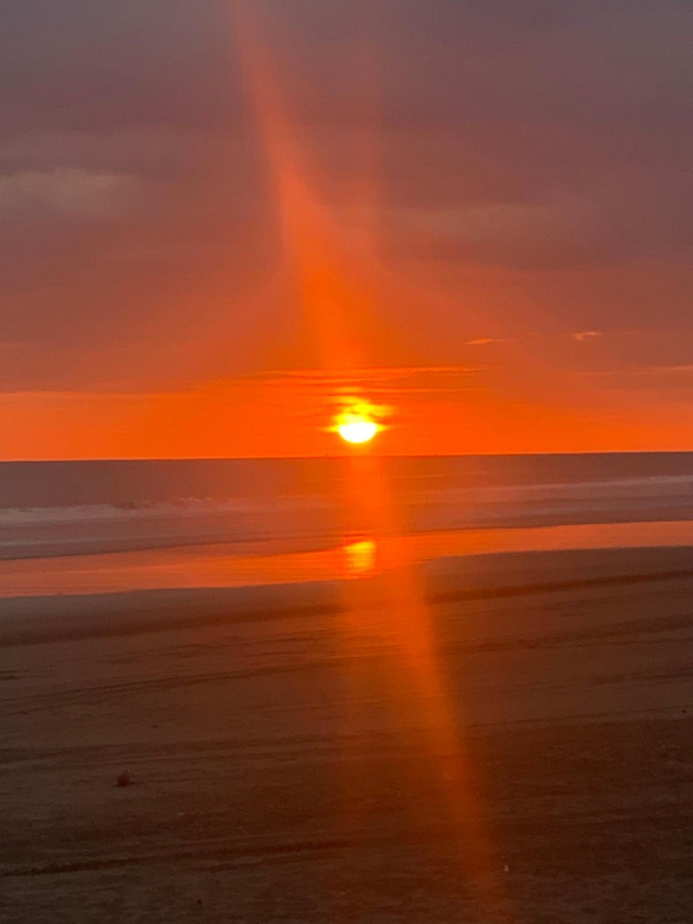 Miguel Surf Camp
