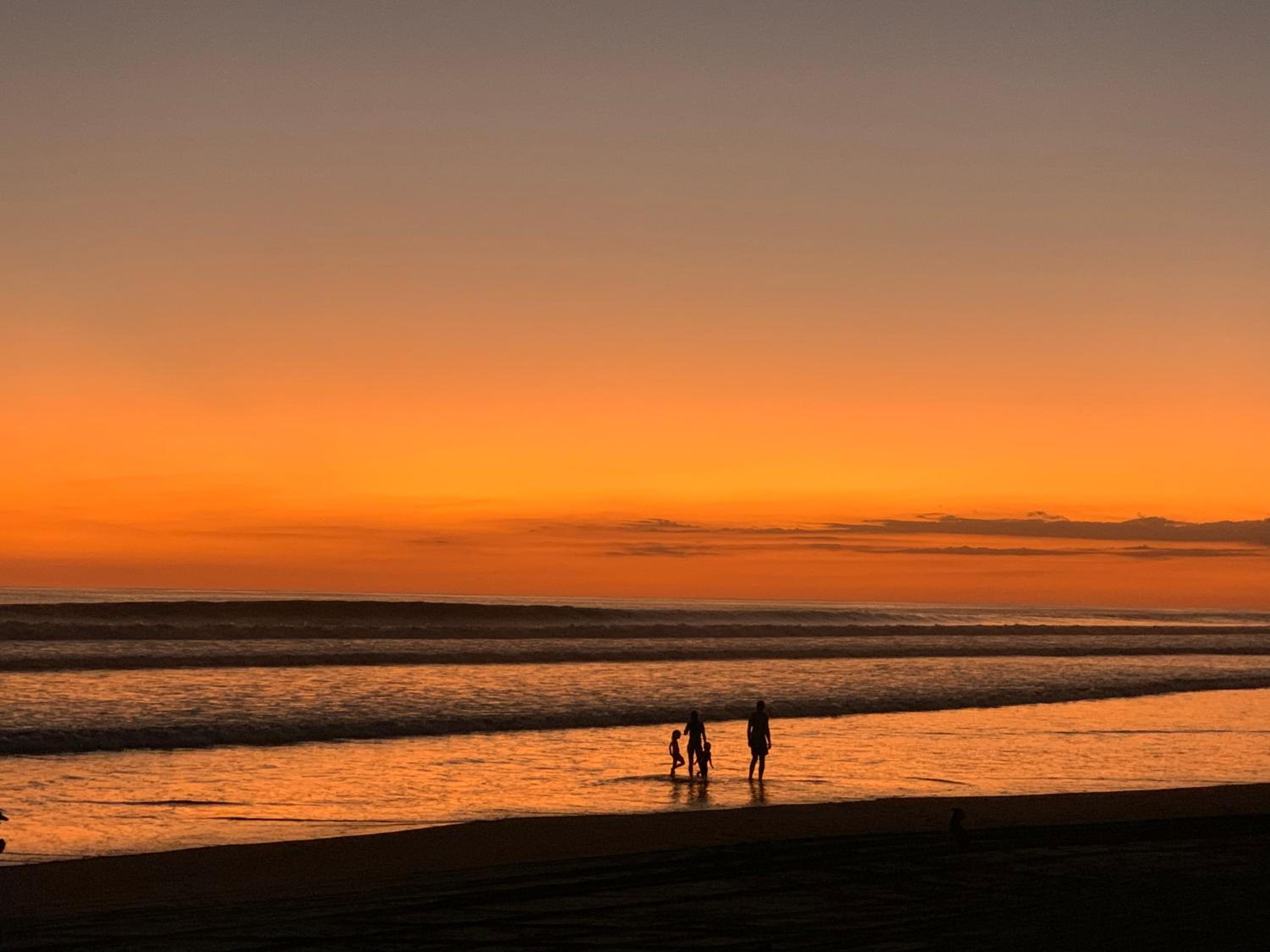 Miguel Surf Camp