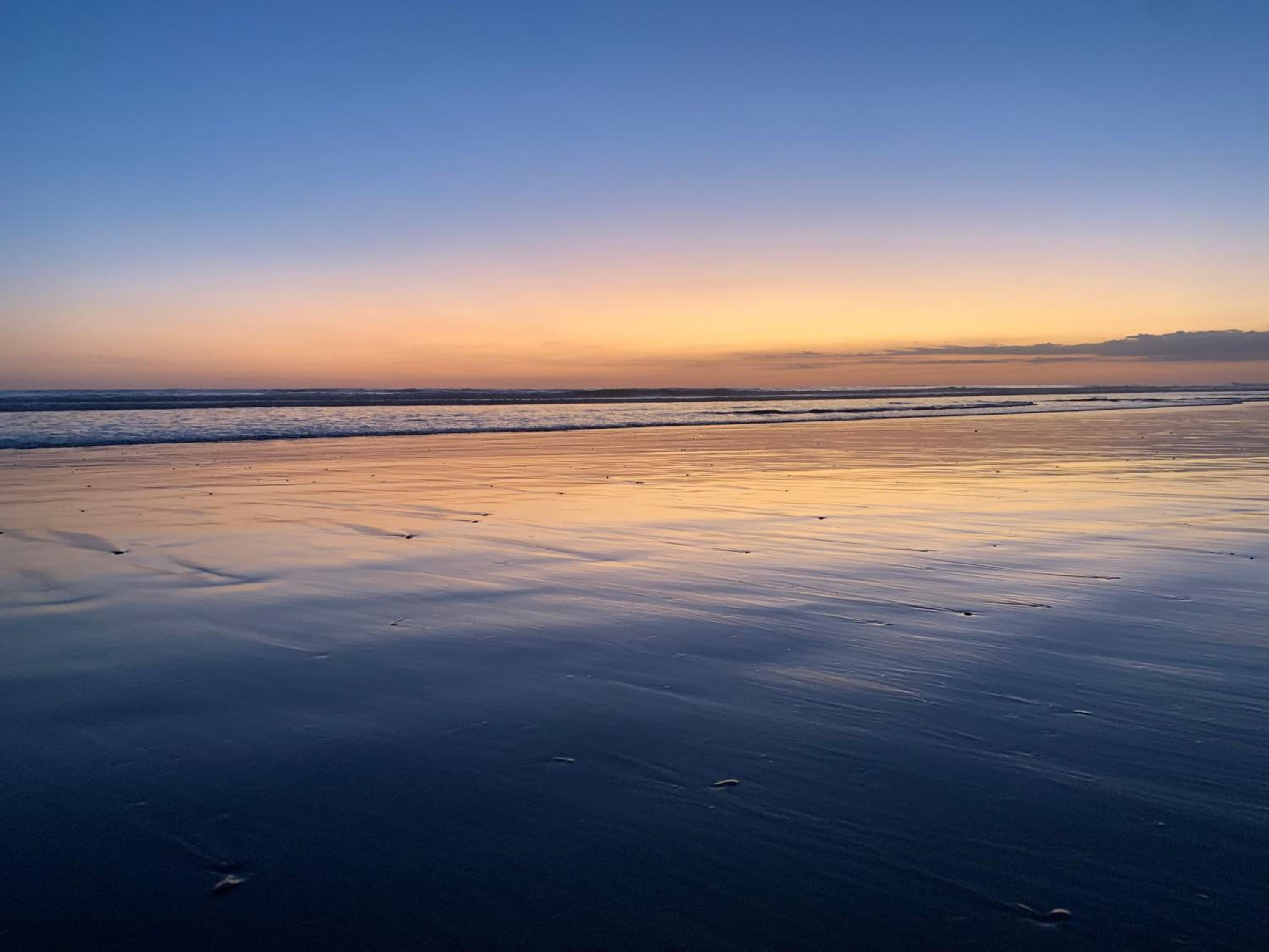 Miguel Surf Camp