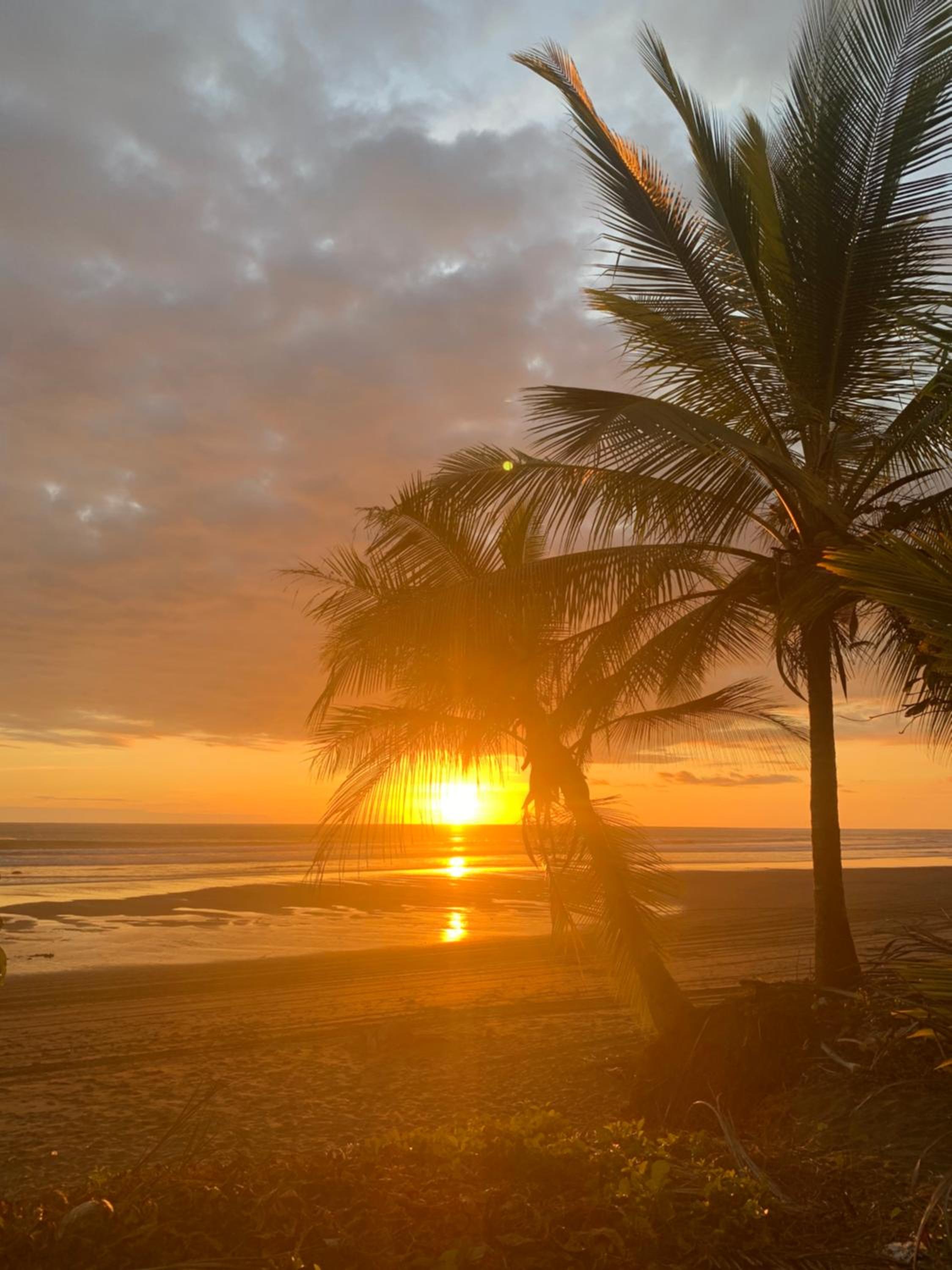 Miguel Surf Camp