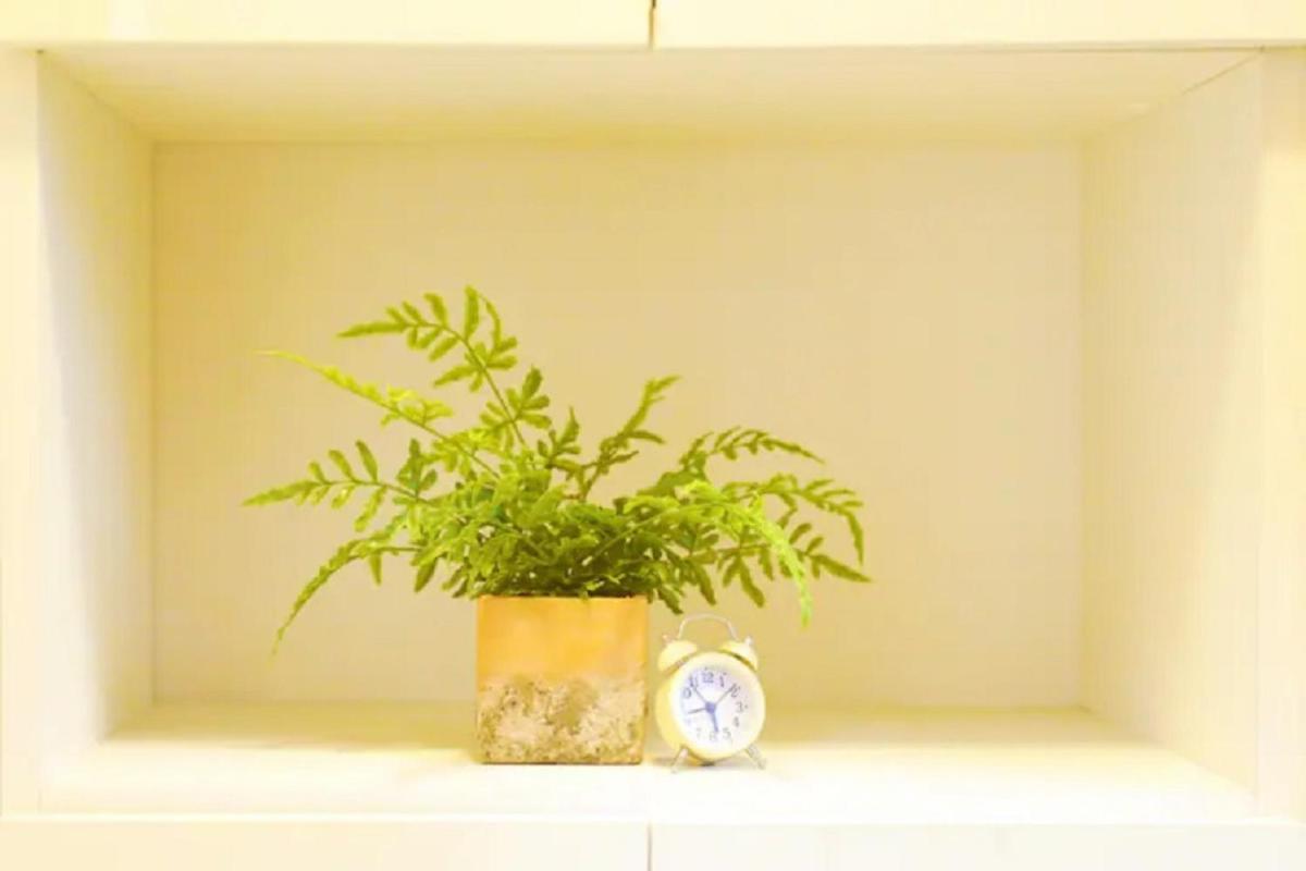Takano Private Rental House - Vacation STAY 32311v