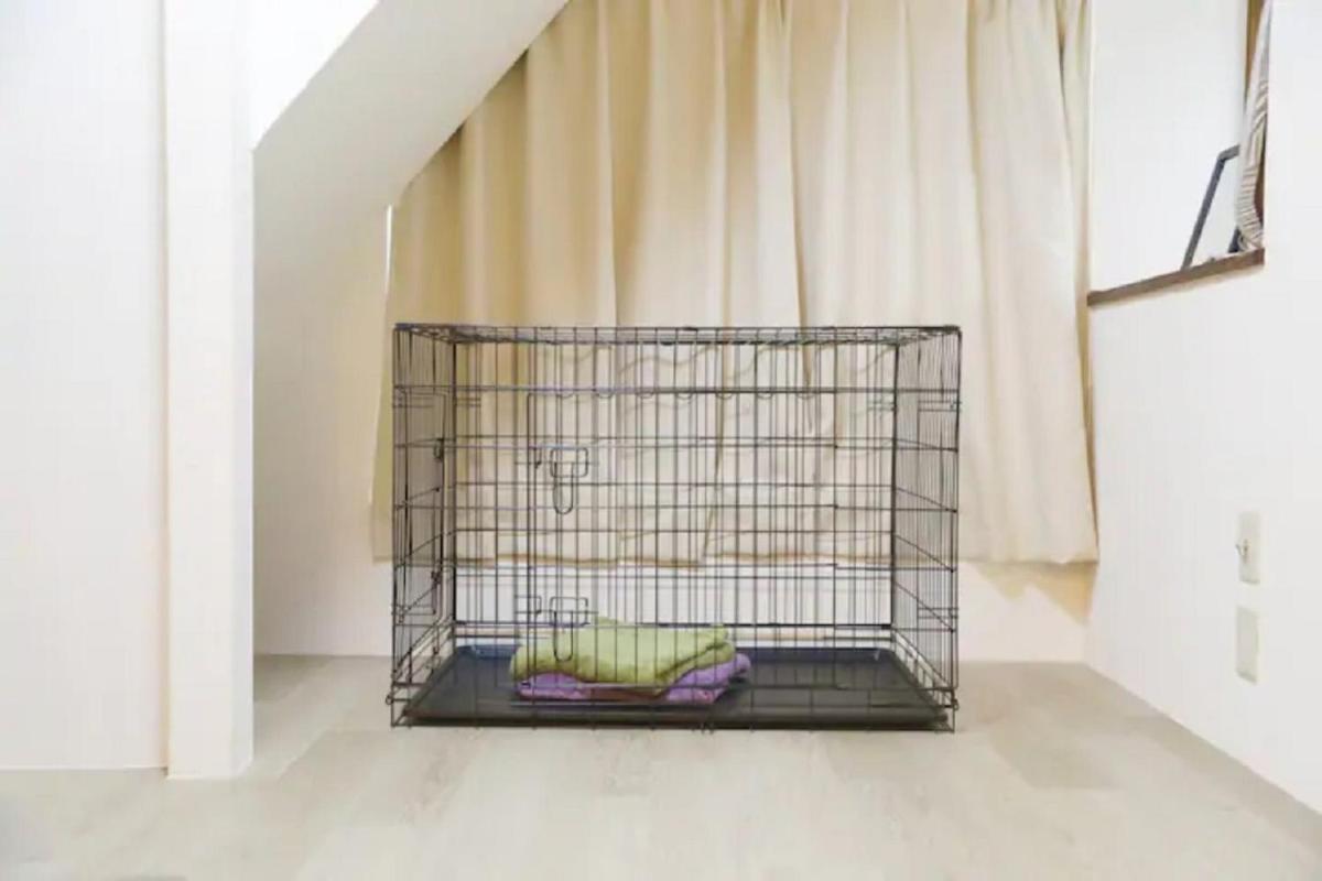 Takano Private Rental House - Vacation STAY 32311v