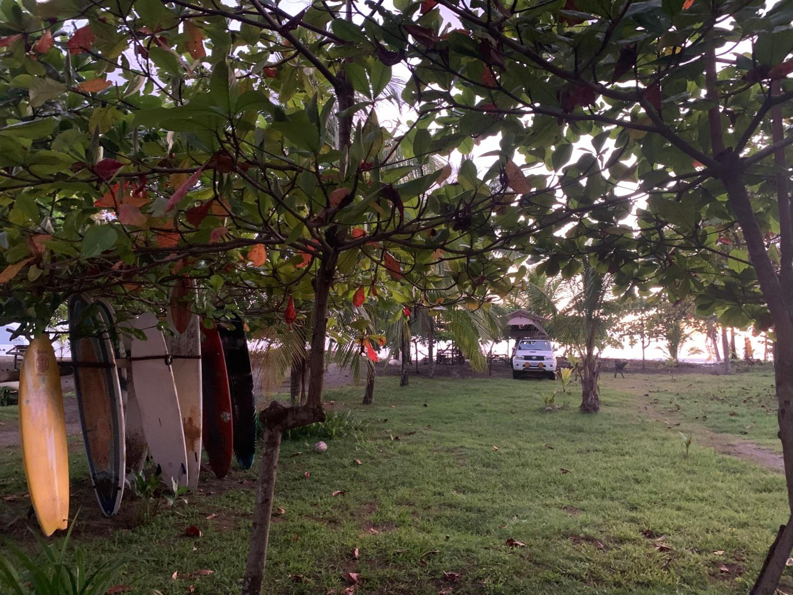 Miguel Surf Camp