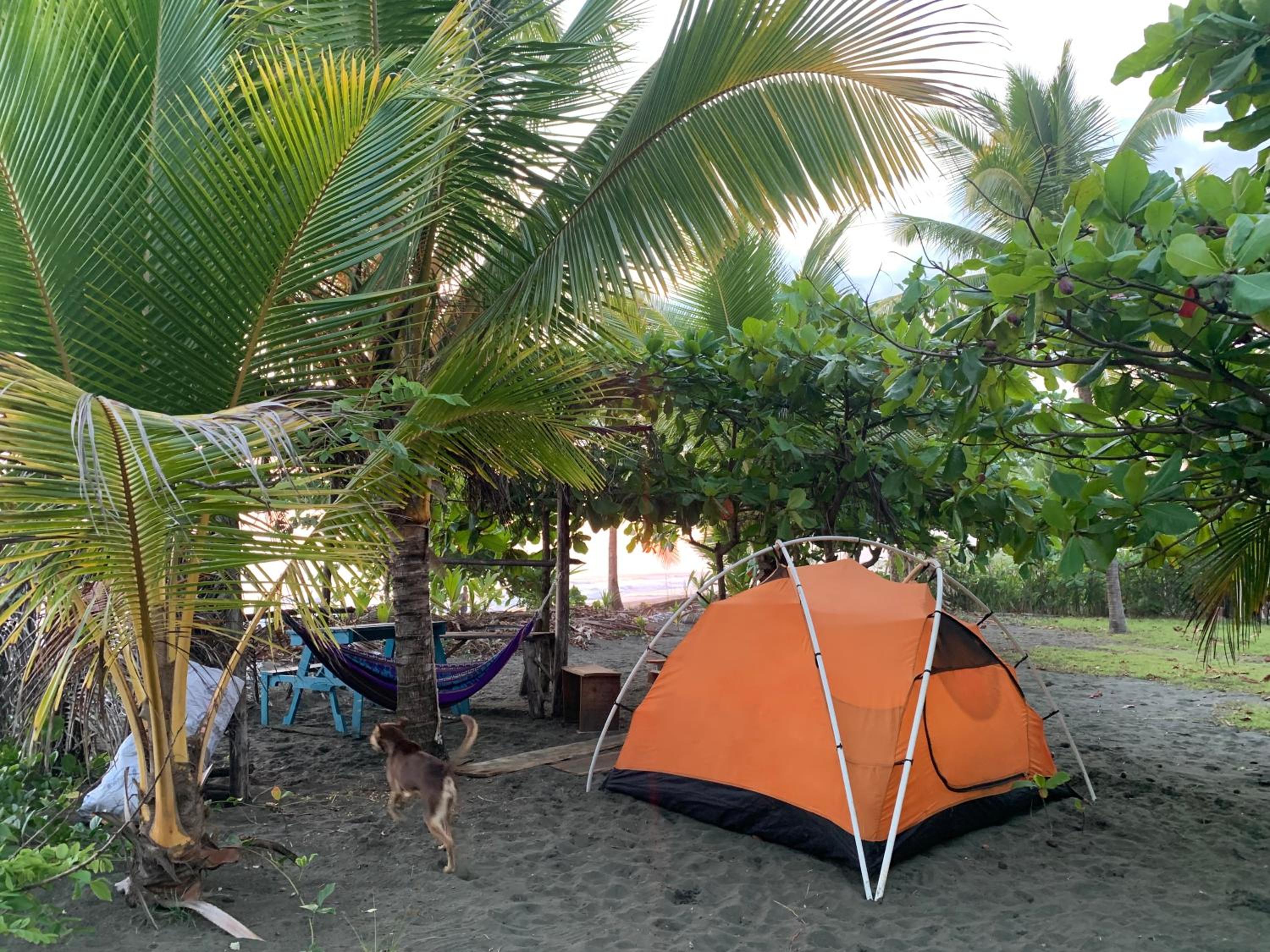 Miguel Surf Camp